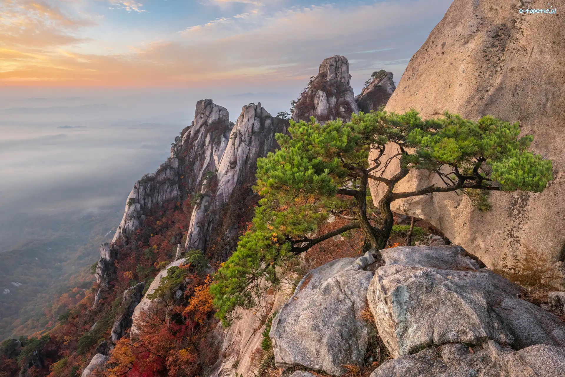 Korea Południowa, Sosna, Góra Dobongsan, Skały, Góry, Prowincja Gyeonggi-do, Park Narodowy Bukhansan