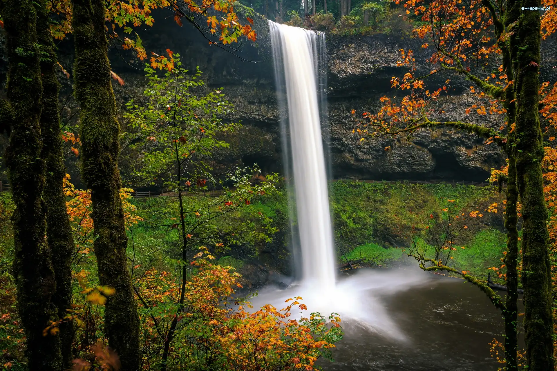 Stan Oregon, Park stanowy Silver Falls, Jesień, Stany Zjednoczone, Skała, Wodospad South Falls