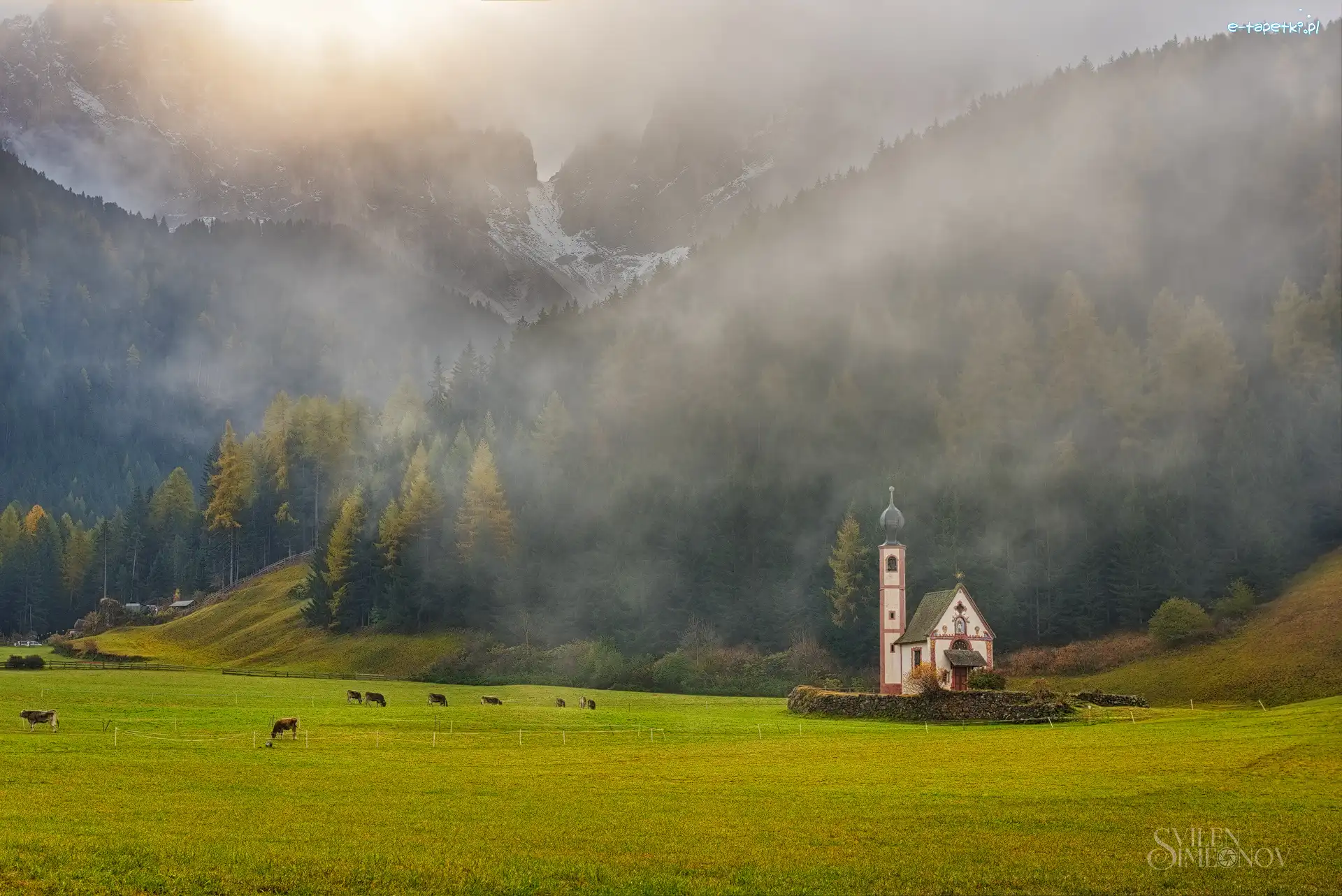 Dolomity, Kościół św. Jana, Włochy, Góry, Lasy, Mgła, Krowy, Dolina Val di Funes, Wzgórza, Prowincja Bolzano