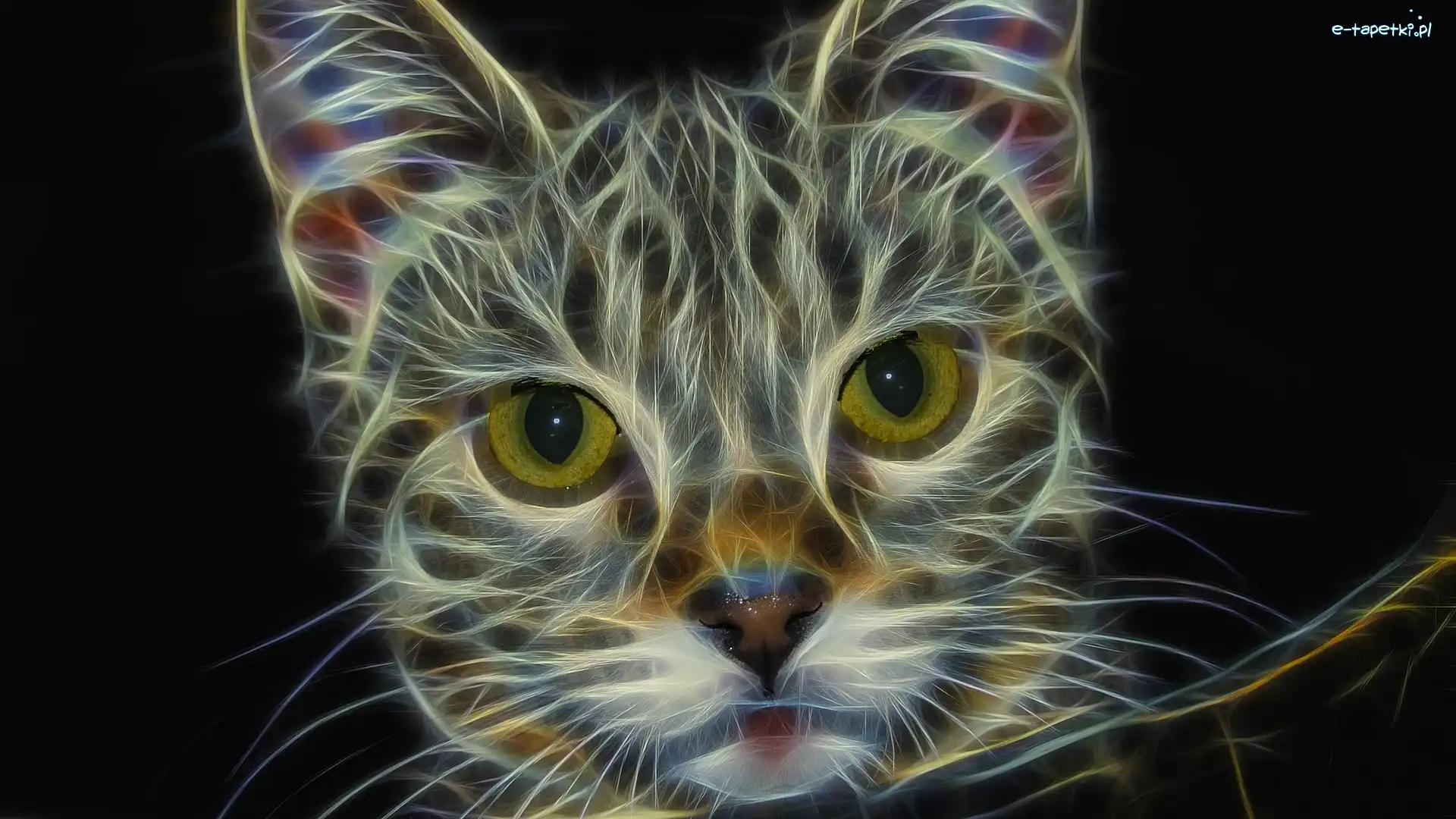 Mordka, Fractalius, Oczy, Kot