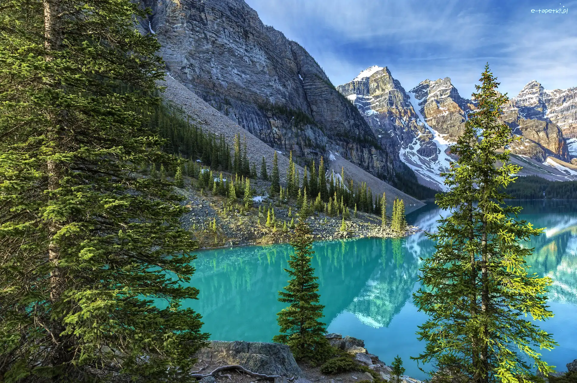 Drzewa, Alberta, Odbicie, Las, Jezioro Moraine, Dolina Valley of the Ten Peaks, Dolina Dziesięciu Szczytów, Kanada, Park Narodowy Banff, Góry