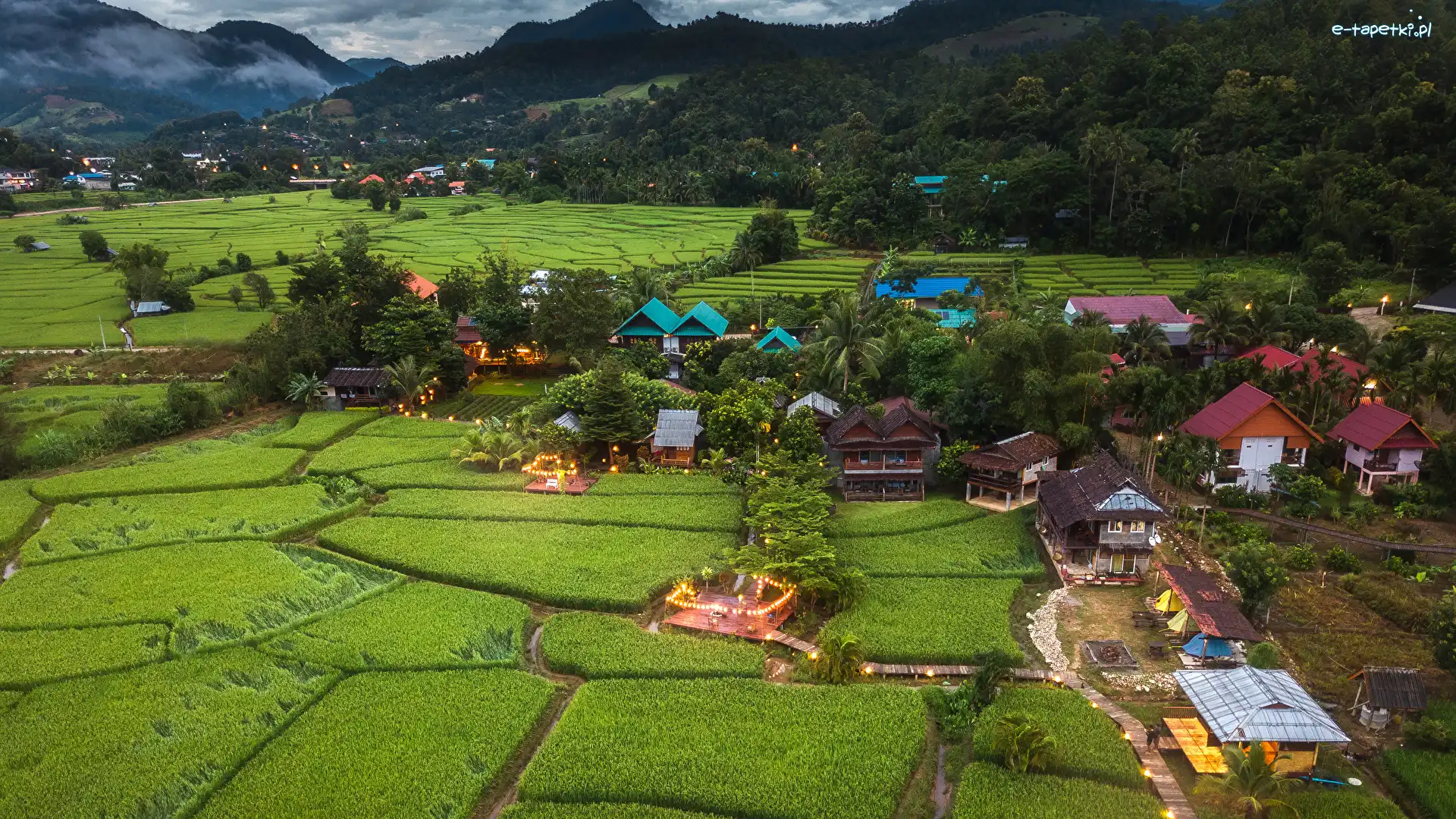Pola, Domy, Miejscowość, Prowincja Mae Hong Son, Tajlandia, Drzewa, Lasy, Mae La Noi, Góry