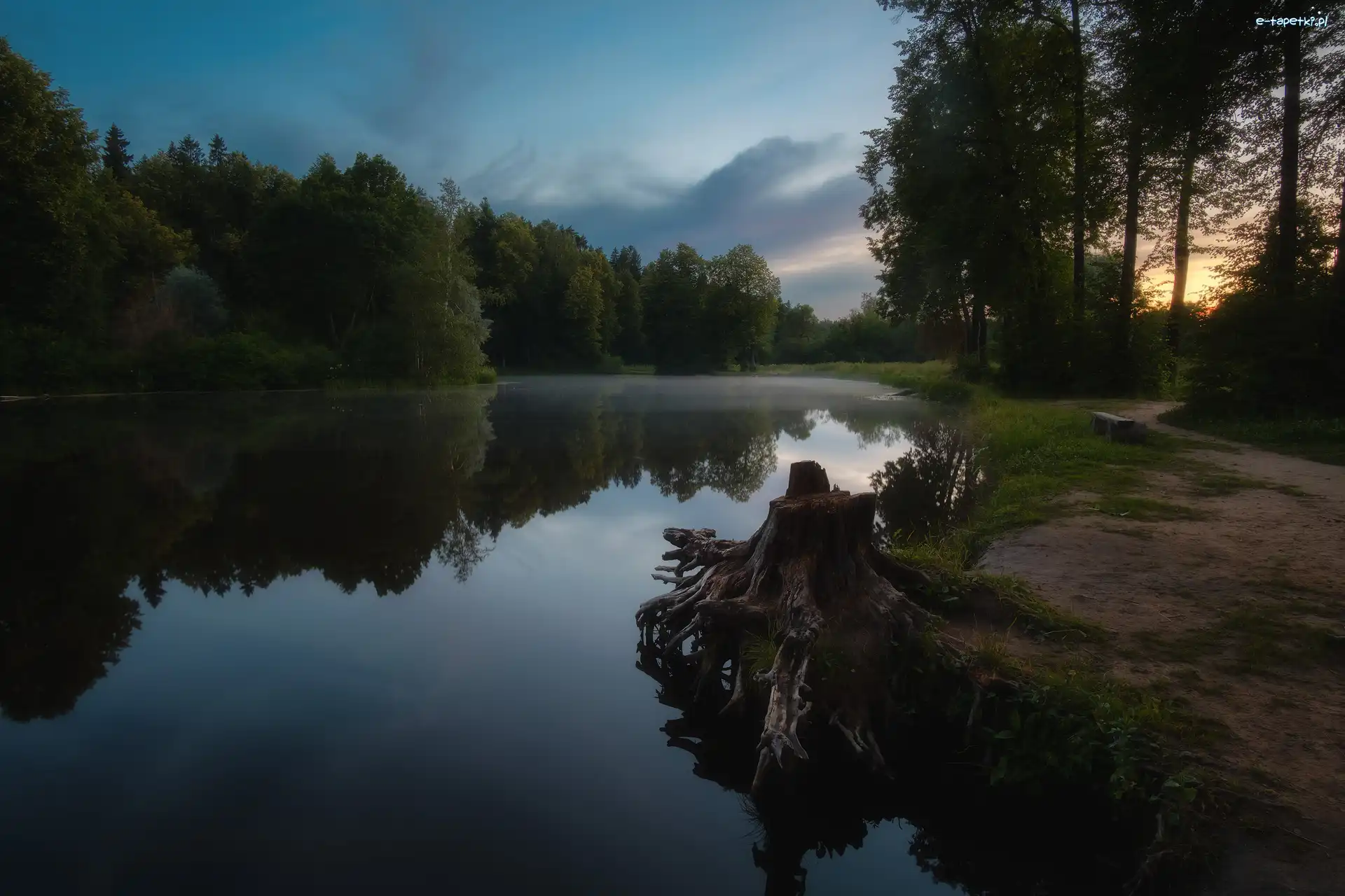 Drzewa, Park, Rosja, Obwód moskiewski, Staw, Ścieżka, Ławeczka, Serednikowo