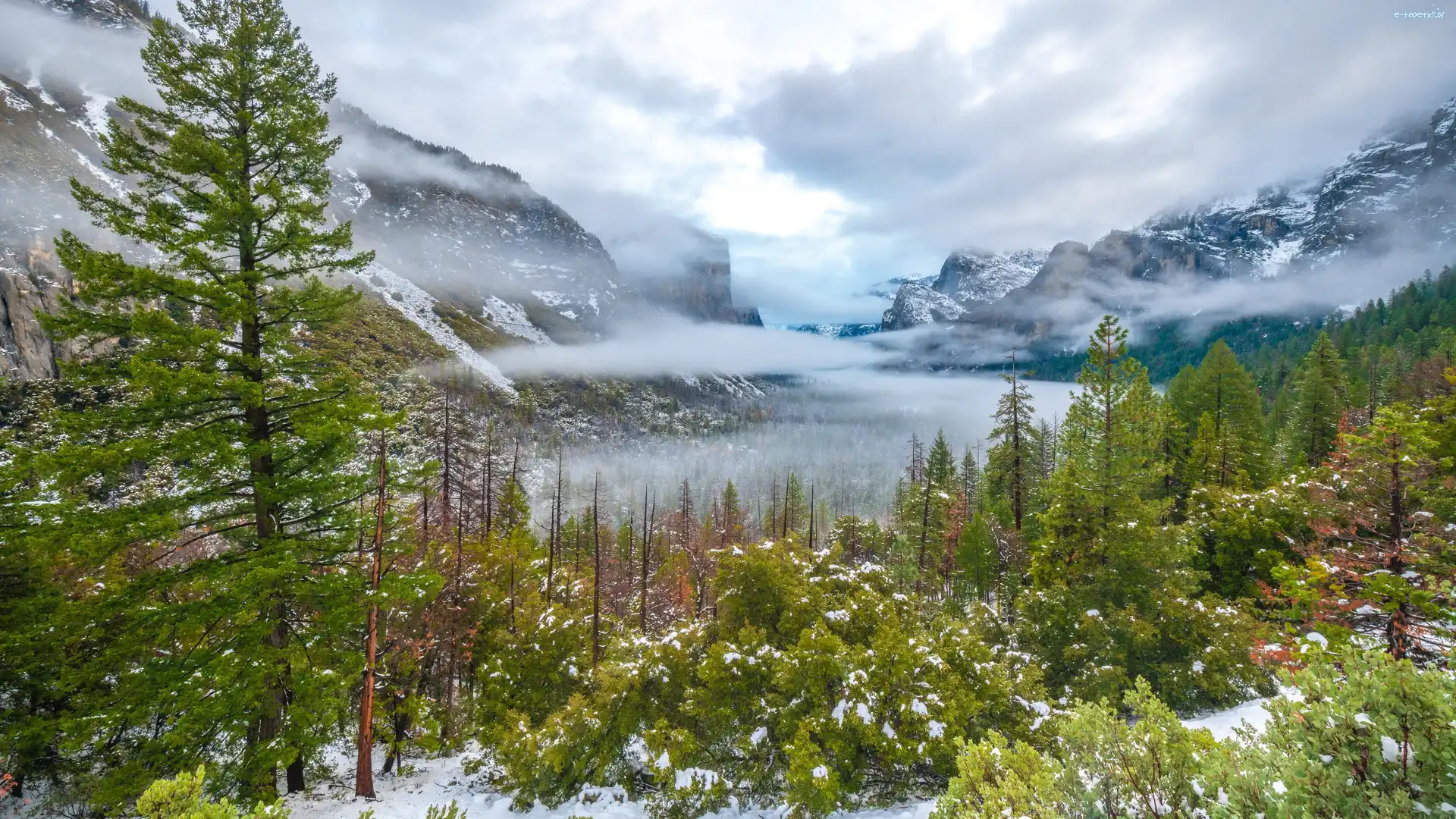 Mgła, Śnieg, Stany Zjednoczone, Kalifornia, Drzewa, Chmury, Park Narodowy Yosemite, Góry Sierra Nevada