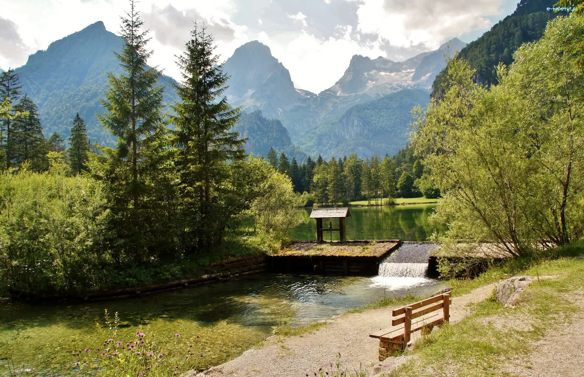 Ławka, Północne Alpy Wapienne, Austria, Hinterstoder, Drzewa, Ścieżka, Jezioro Schiederweiher, Góry Totes Gebirge