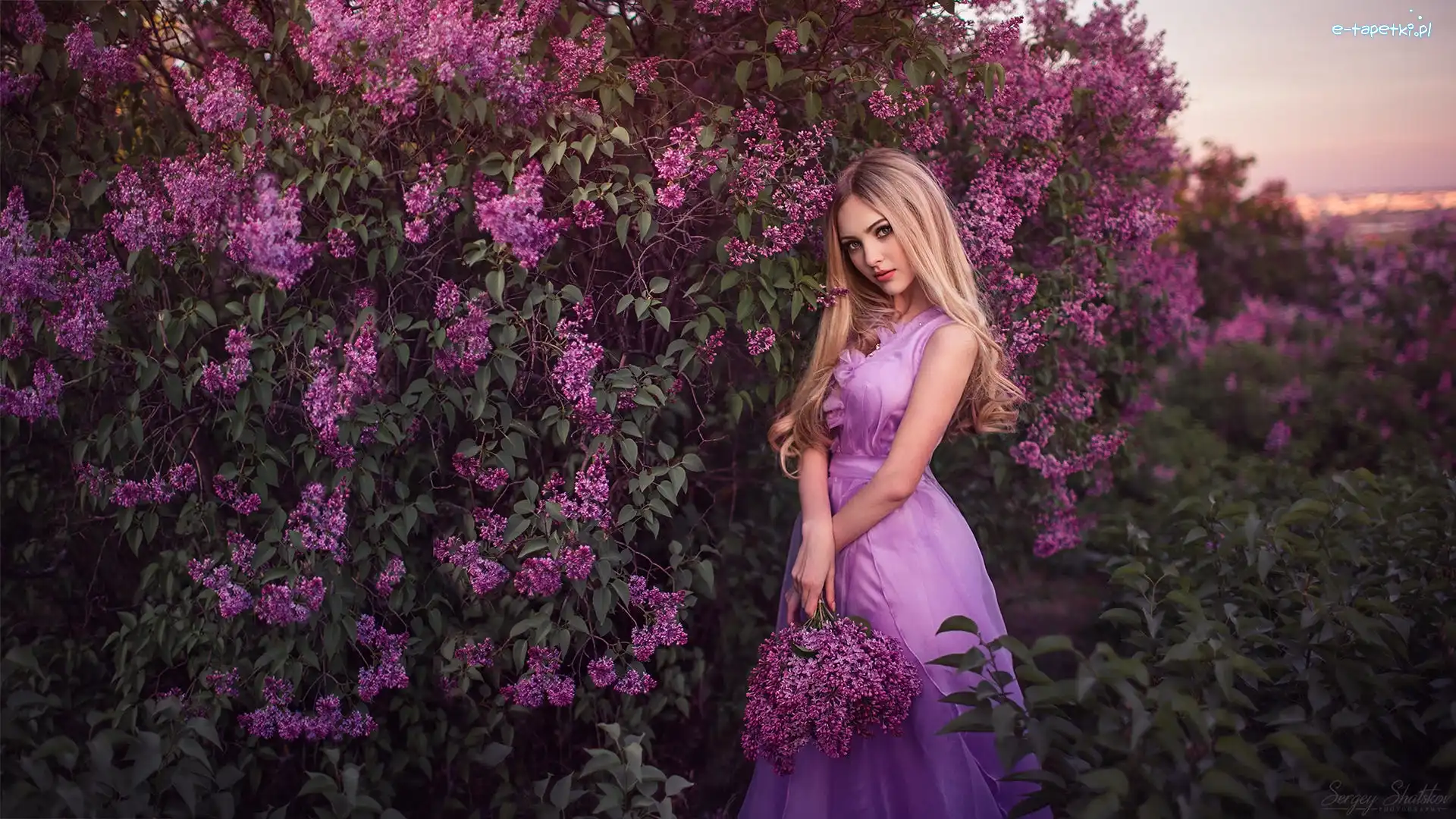 Blondynka, Bez, Liliowy, Dziewczyna