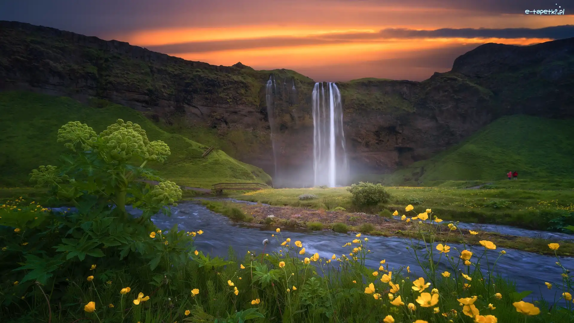 Islandia, Rzeka Seljalandsa, Niebo, Skały, Wodospad Seljalandsfoss, Kwiaty, Żółte