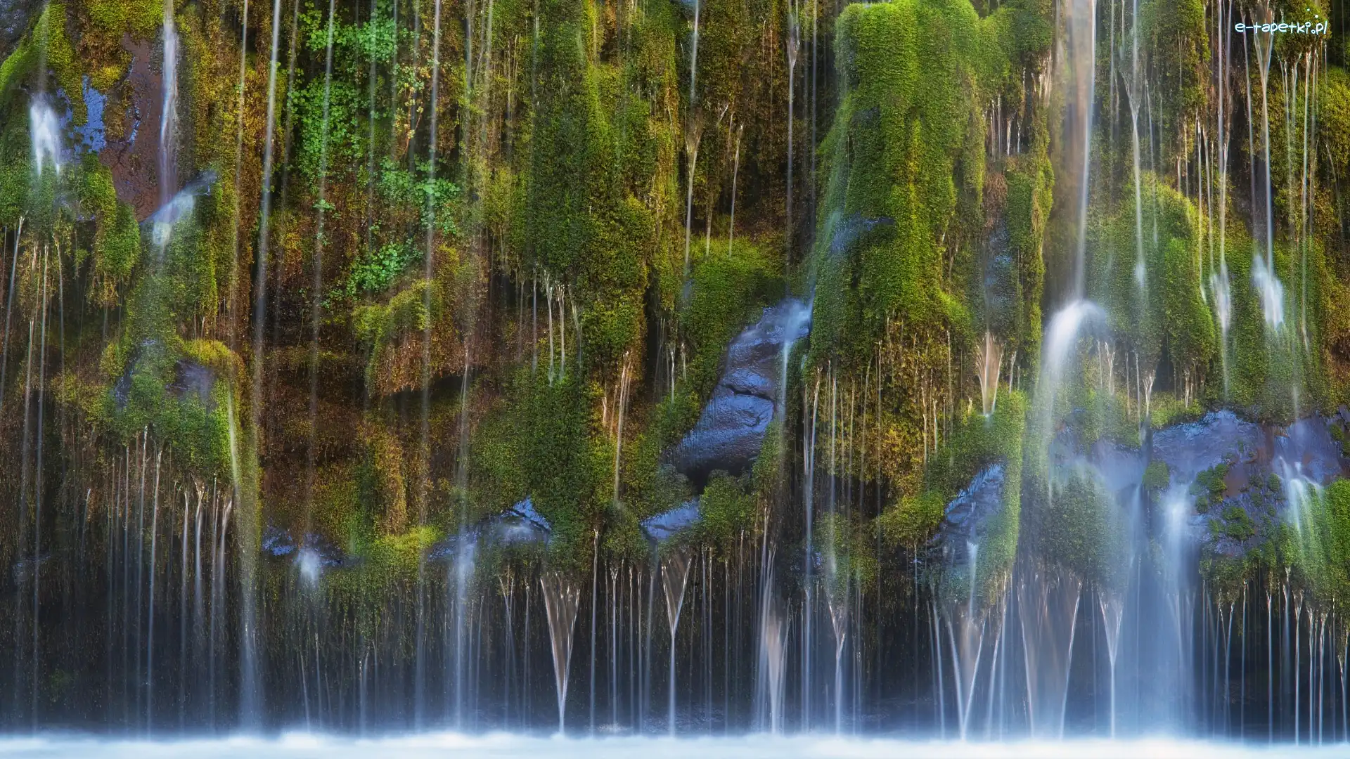 Zieleń, Omszałe, Stany Zjednoczone, Kalifornia, Kamienie, Wodospad Mossbrae Falls,
Dunsmuir, Skały