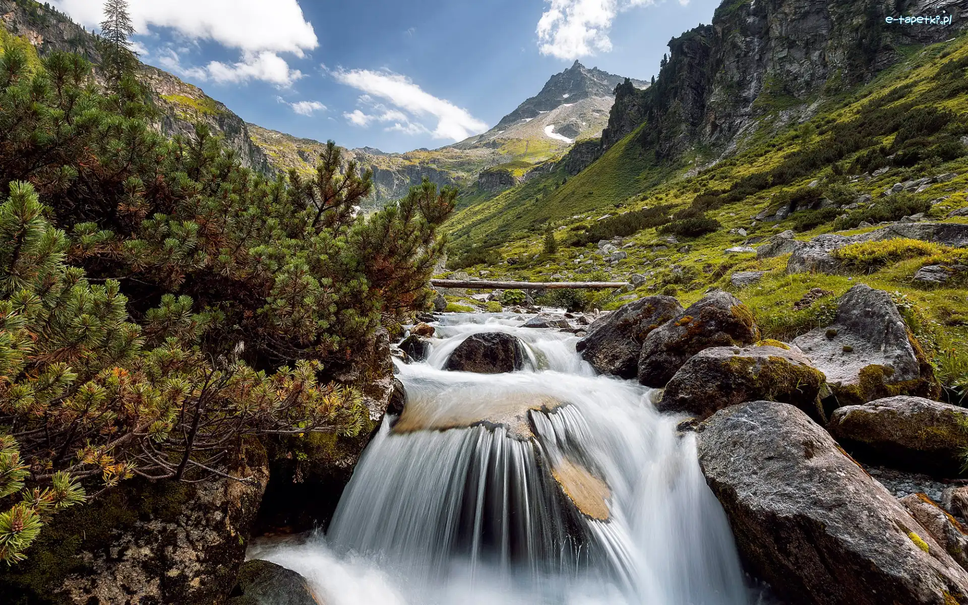 Rzeka, Krzewy, Kamienie, Góry