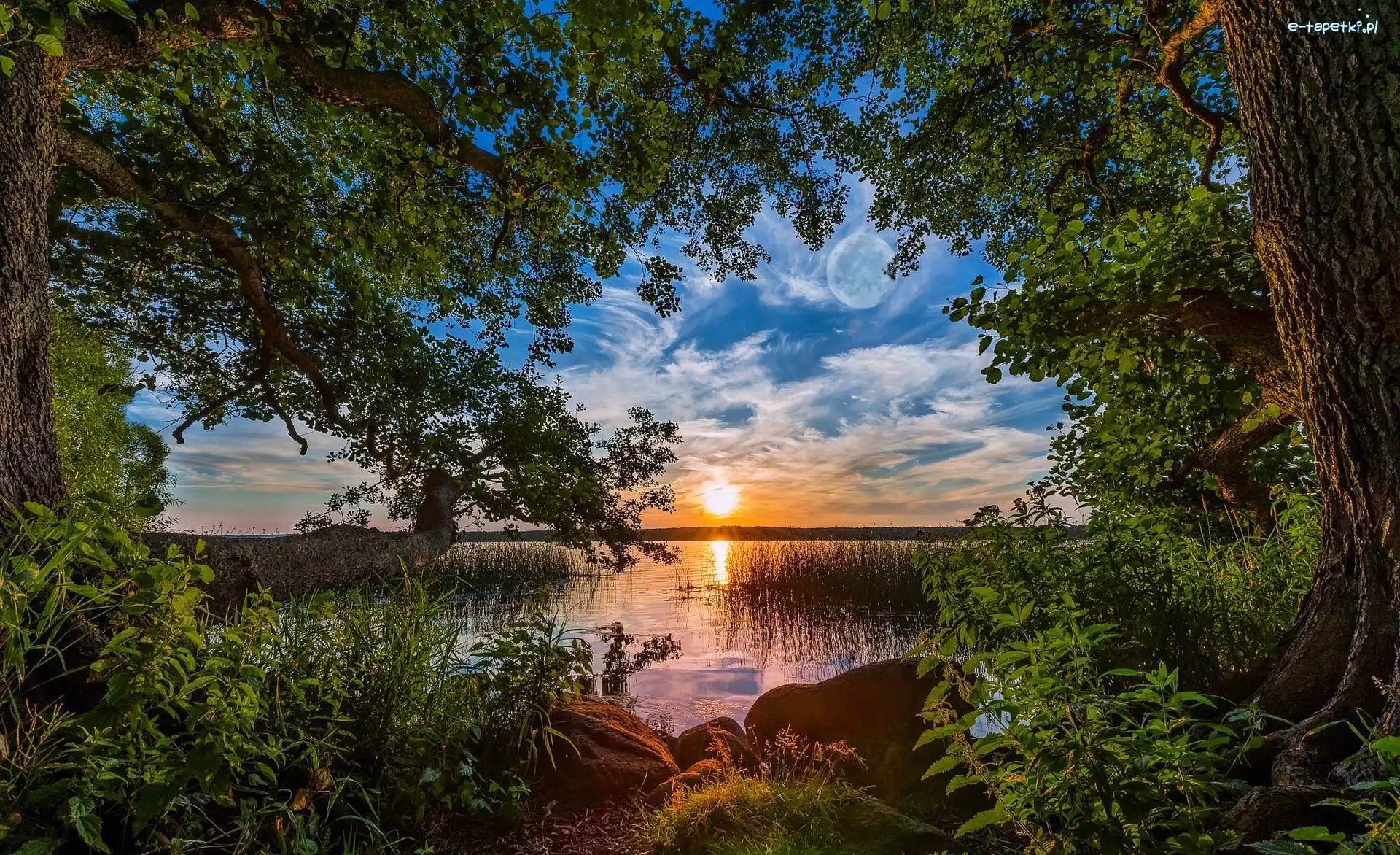Jezioro, Wschód słońca, Drzewa, Kamienie, Chmury