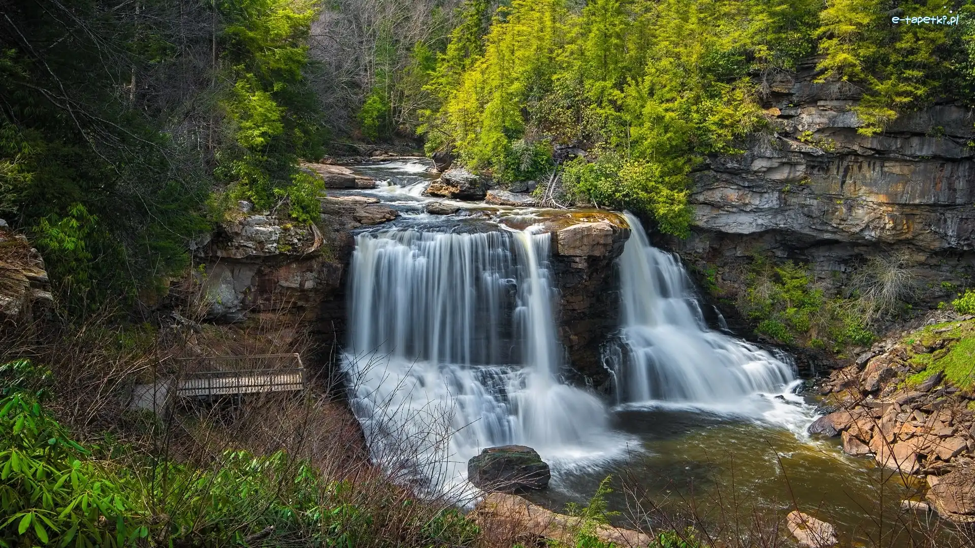 Drzewa, Rzeka, Stany Zjednoczone, Stan Wirginia Zachodnia, Wodospad Blackwater Falls, Kamienie, Park stanowy Blackwater, Skały
