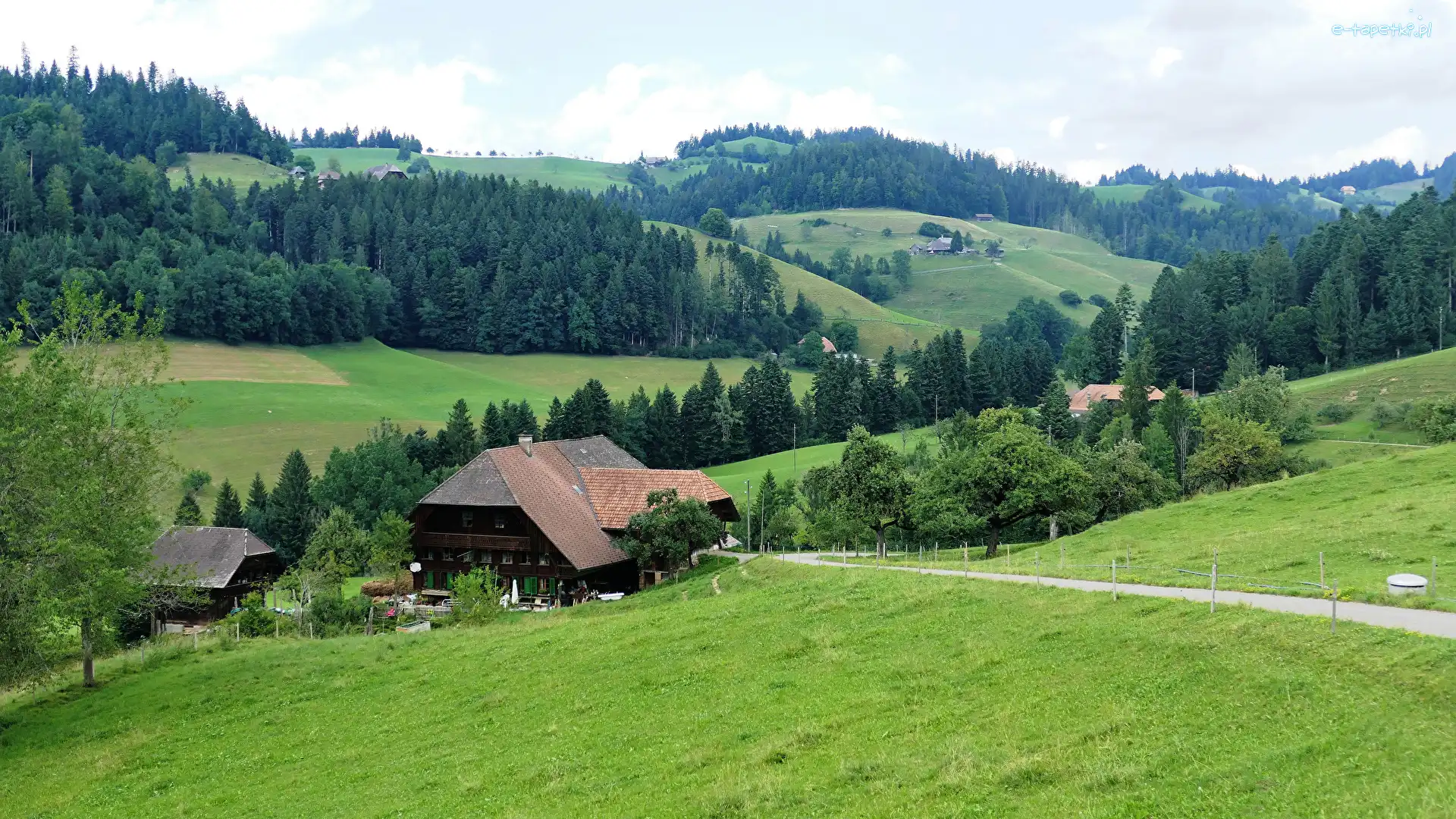 Trawa, Domy, Łąki, Wzgórza, Lasy, Wieś