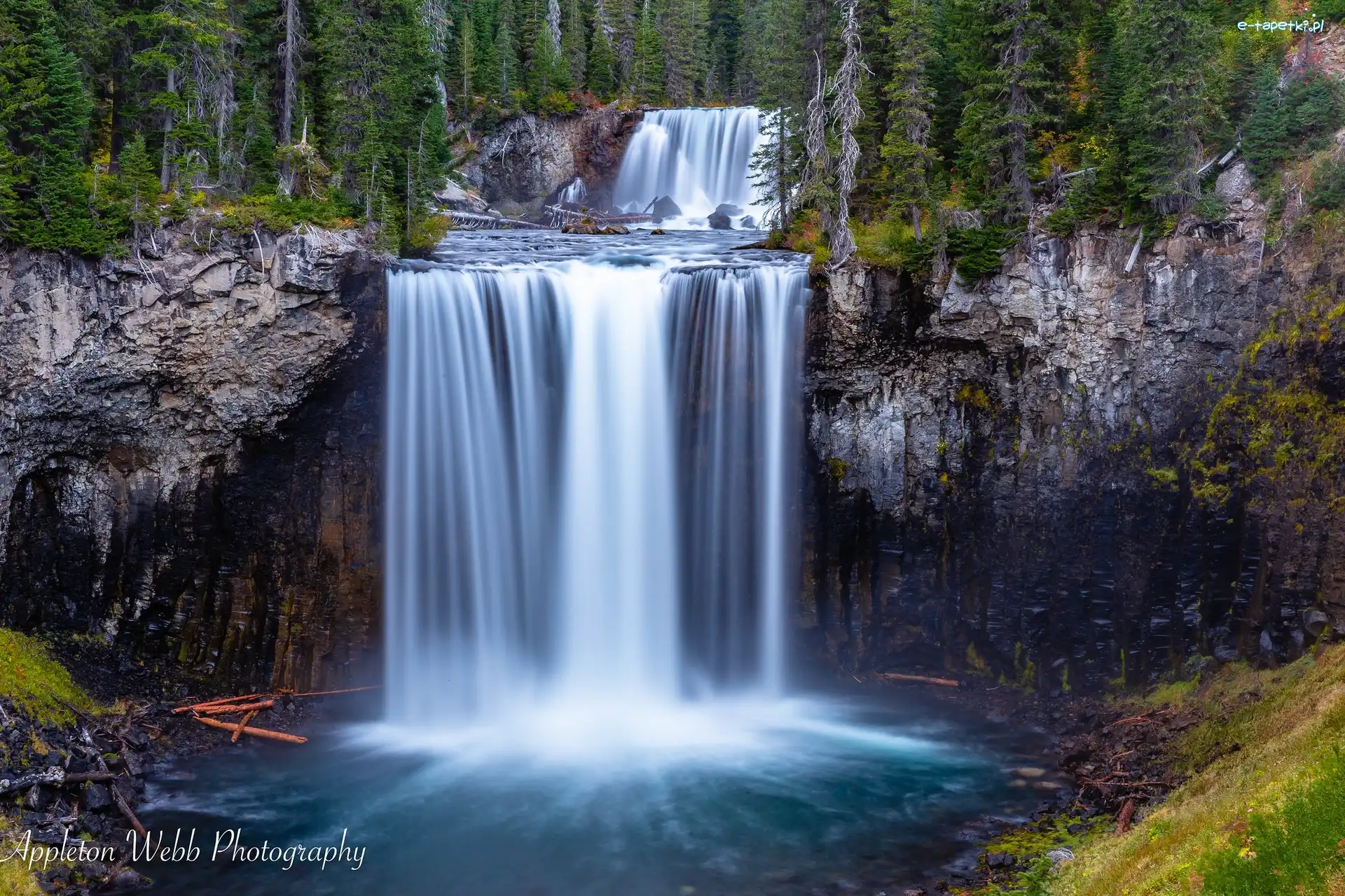 Las, Rzeka Bechler River, Stany Zjednoczone, Stan Wyoming, Skały, Drzewa, Park Narodowy Yellowstone, Wodospad Colonnade Falls
