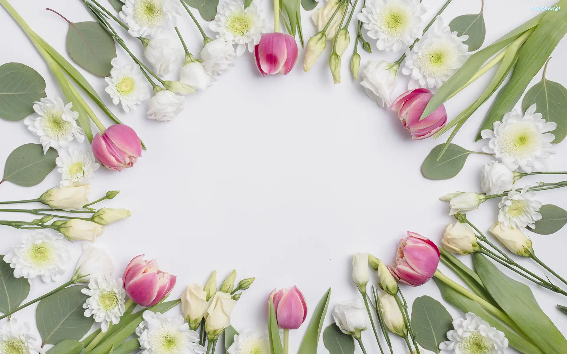 Eustoma, Chryzantemy, Tulipany, Kwiaty