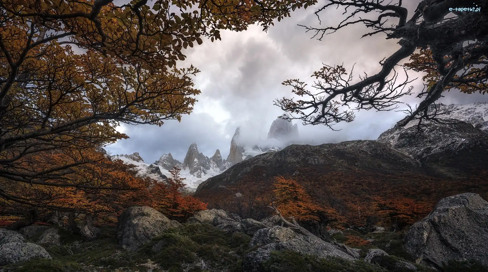 Drzewa, Góry Andy, Argentyna, Patagonia, Park Narodowy Los Glaciares, Gałęzie, Kamienie, Jesień