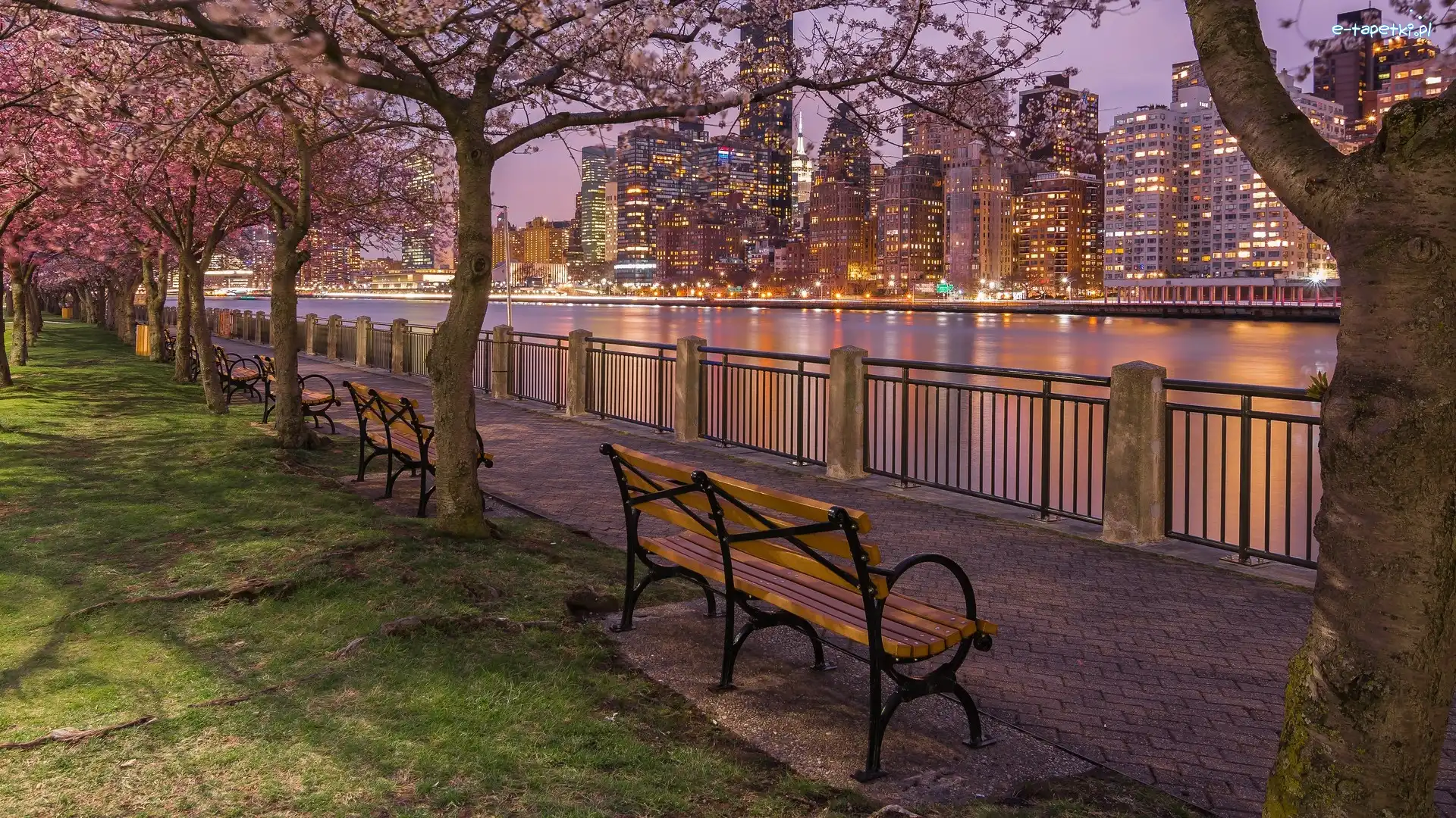 Cieśnina East River, Manhattan, Nowy Jork, Promenada, Kwitnące, Drzewa, Rzeka, Ławki, Wieżowce, Wiosna, Wieczór, Stany Zjednoczone