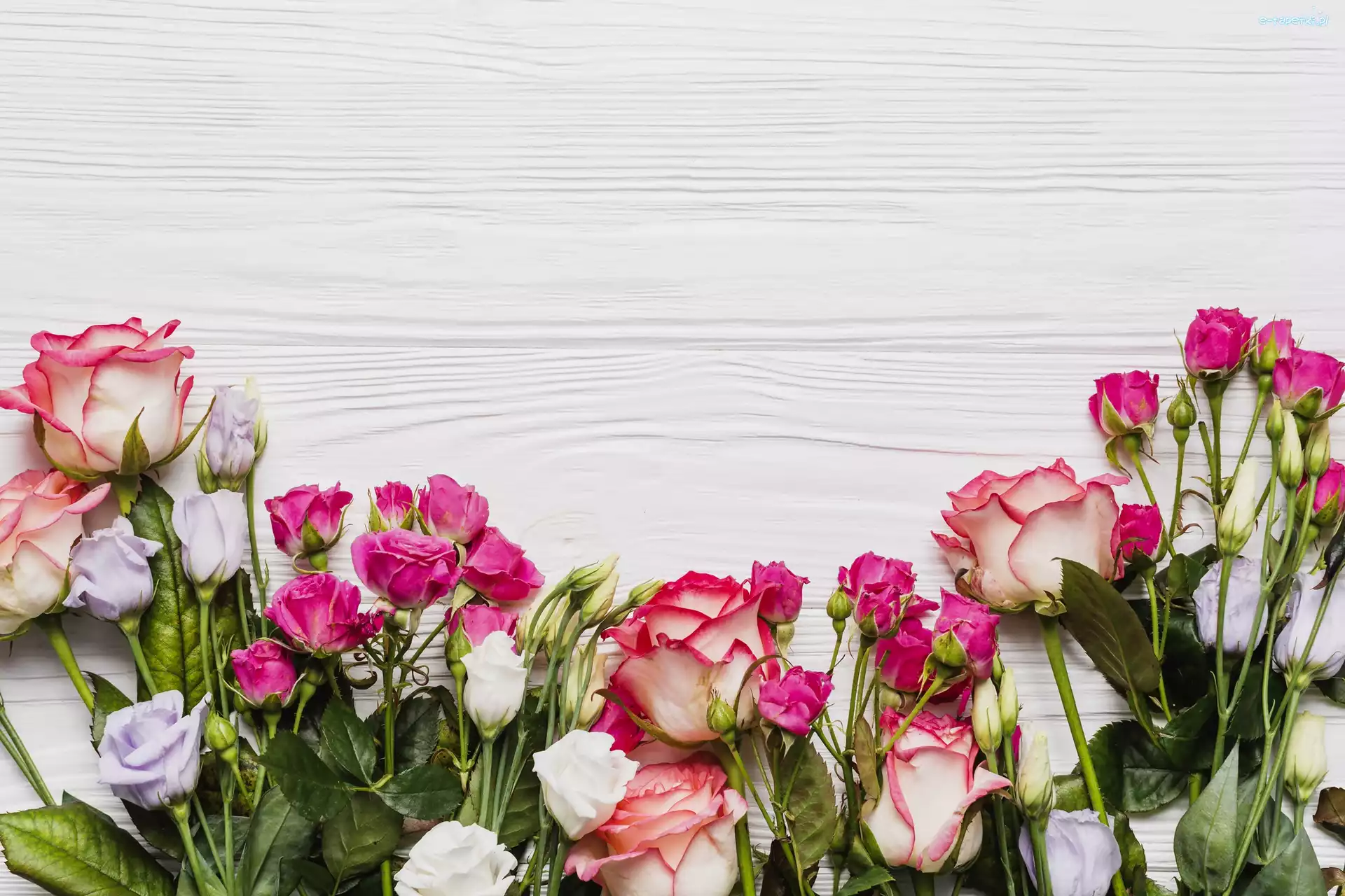 Eustoma, Deska, Drewno, Róże