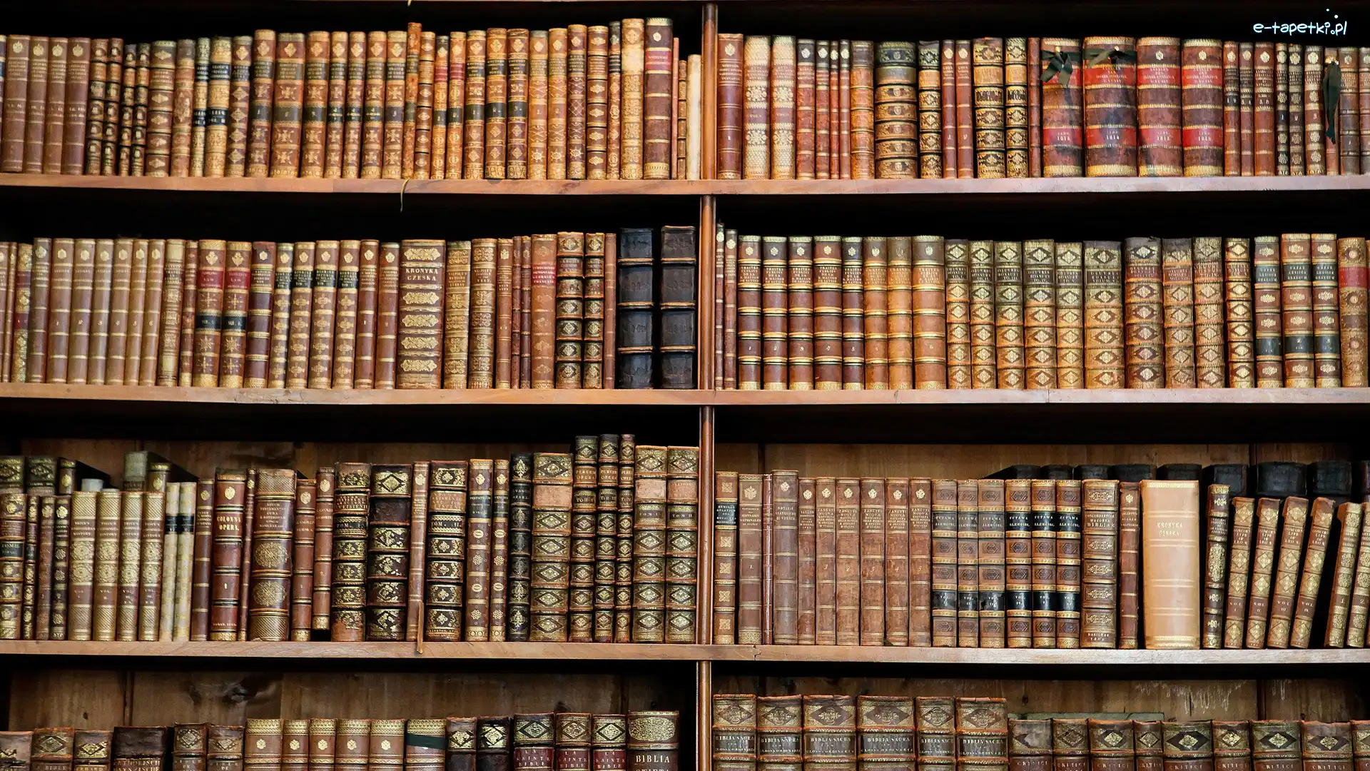 Półki, Książki, Biblioteka