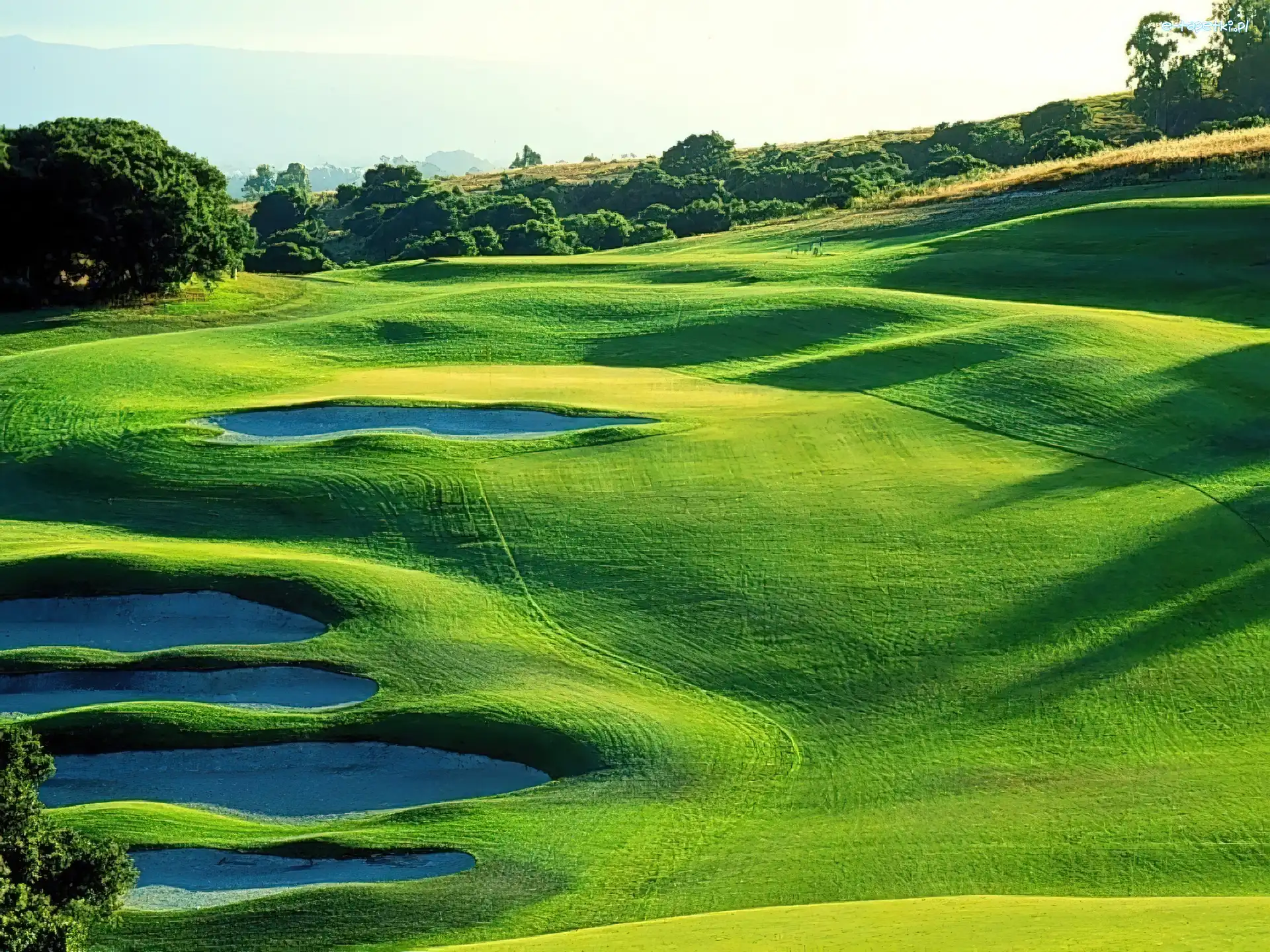 Krajobraz, Pole Golfowe