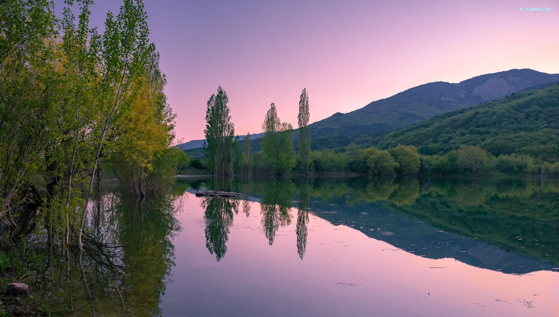 Góry, Wzgórza, Drzewa, Jezioro