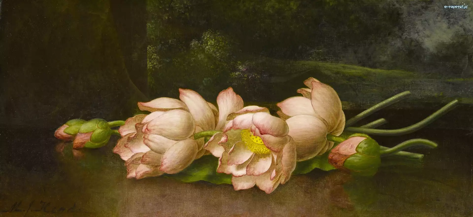 Malarstwo, Martin Johnson Heade, Obraz, Lotosy, Kwiaty