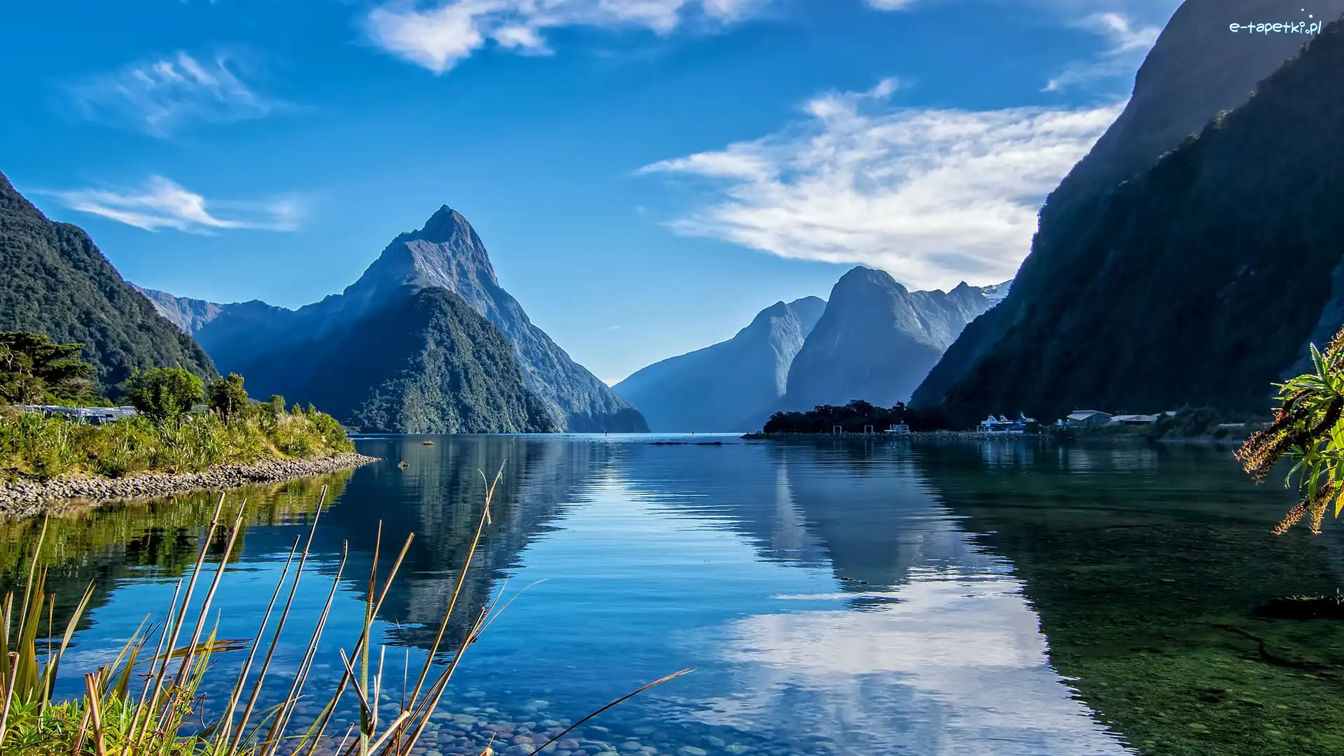 Roślinność, Fiord Milford, Nowa Zelandia, Wyspa Południowa, Góry, Chmury, Park Narodowy Fiordland, Zatoka Milforda