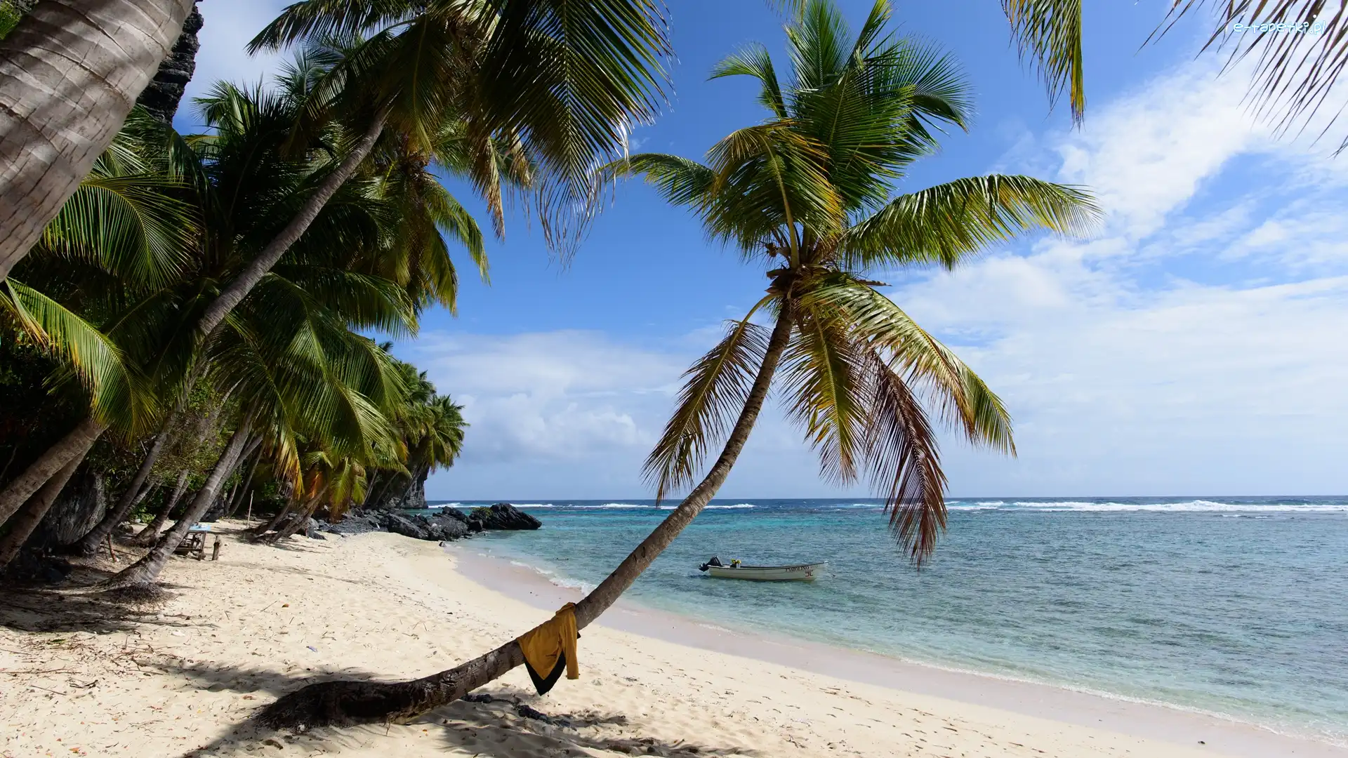 Skały, Palmy, Dominikana, Gmina Samana, Plaża Fronton, Łódka, Las Galeras, Morze