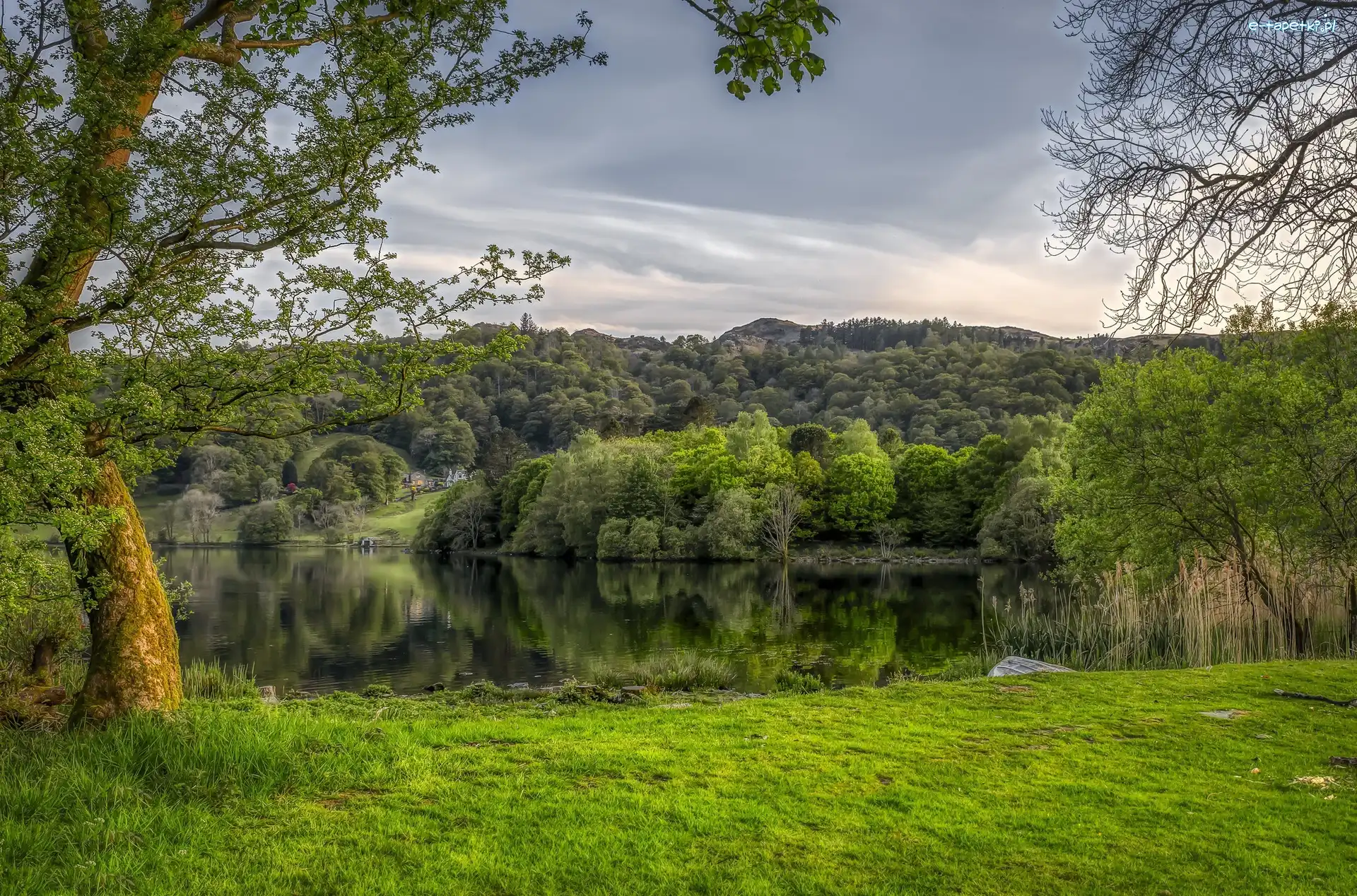 Anglia, Wiosna, Wzgórza, Drzewa, Jezioro Grasmere, Kumbria, Domy