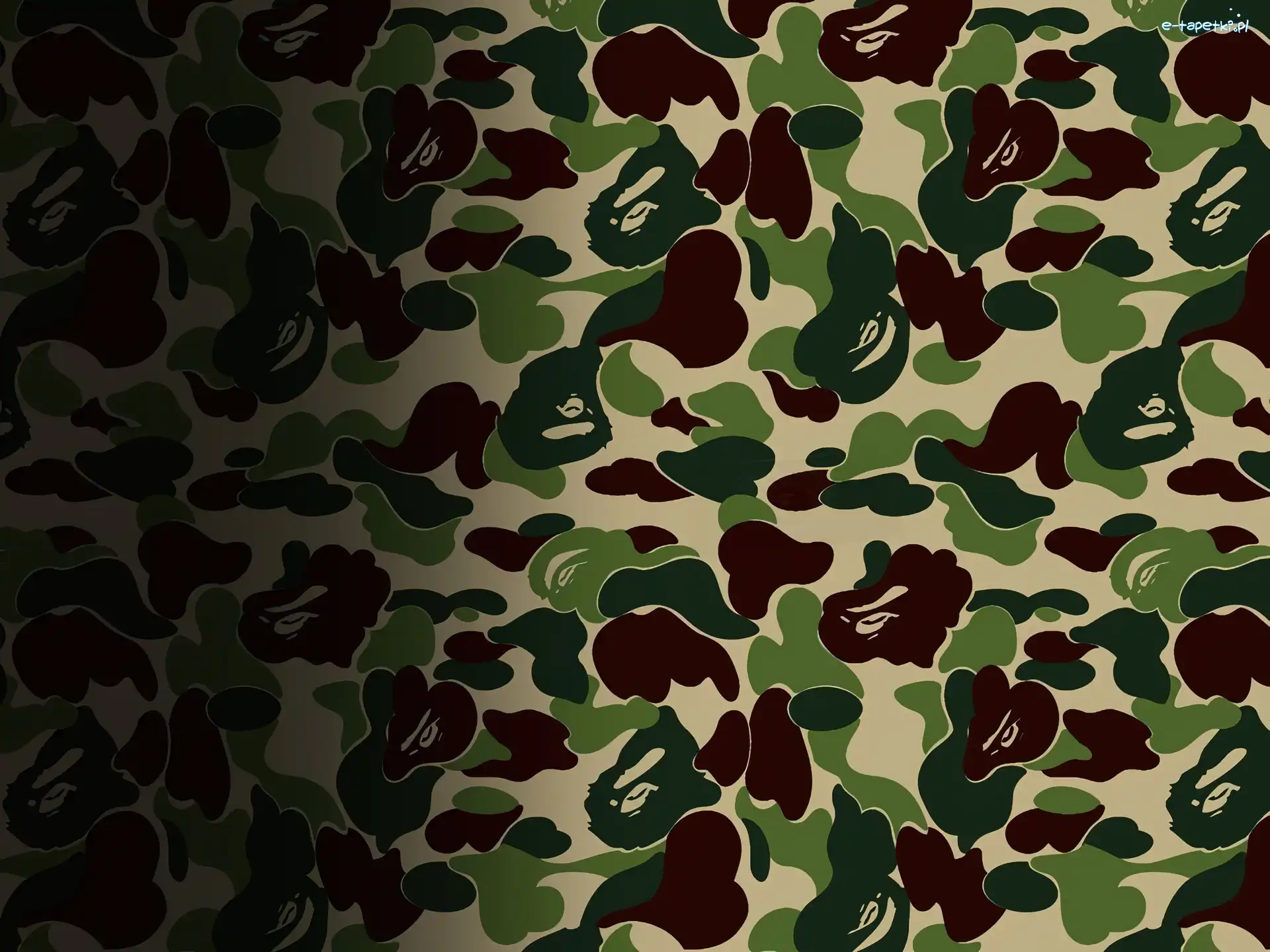 małpa, moro, Bathing Ape