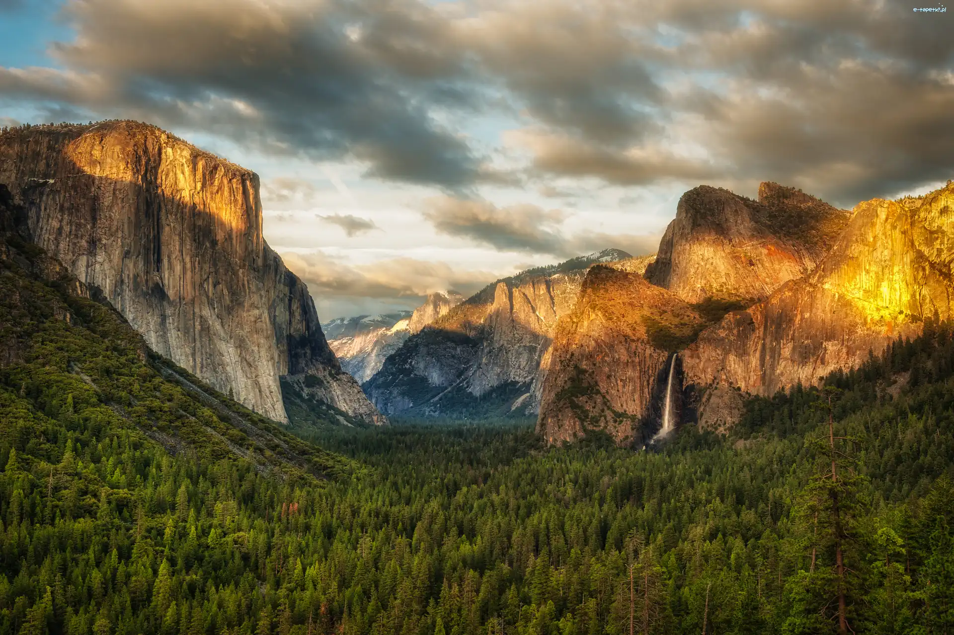 Stany Zjednoczone, Drzewa, Lasy, Dolina Yosemite Valley, Park Narodowy Yosemite, Stan Kalifornia, Wodospad