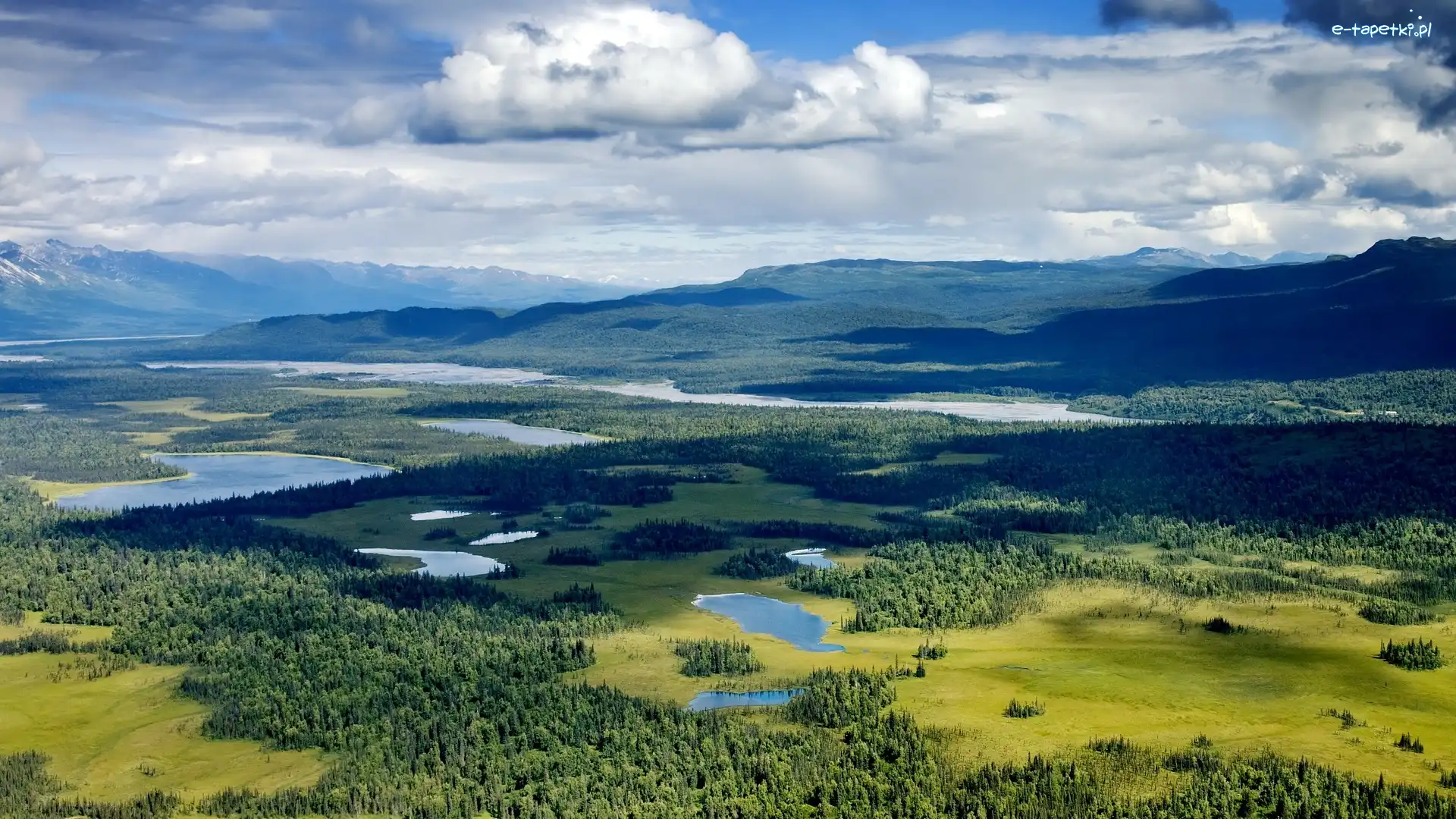 Alaska, Jeziora, Lasy, Stany Zjednoczone, Góry, Park Narodowy Denali