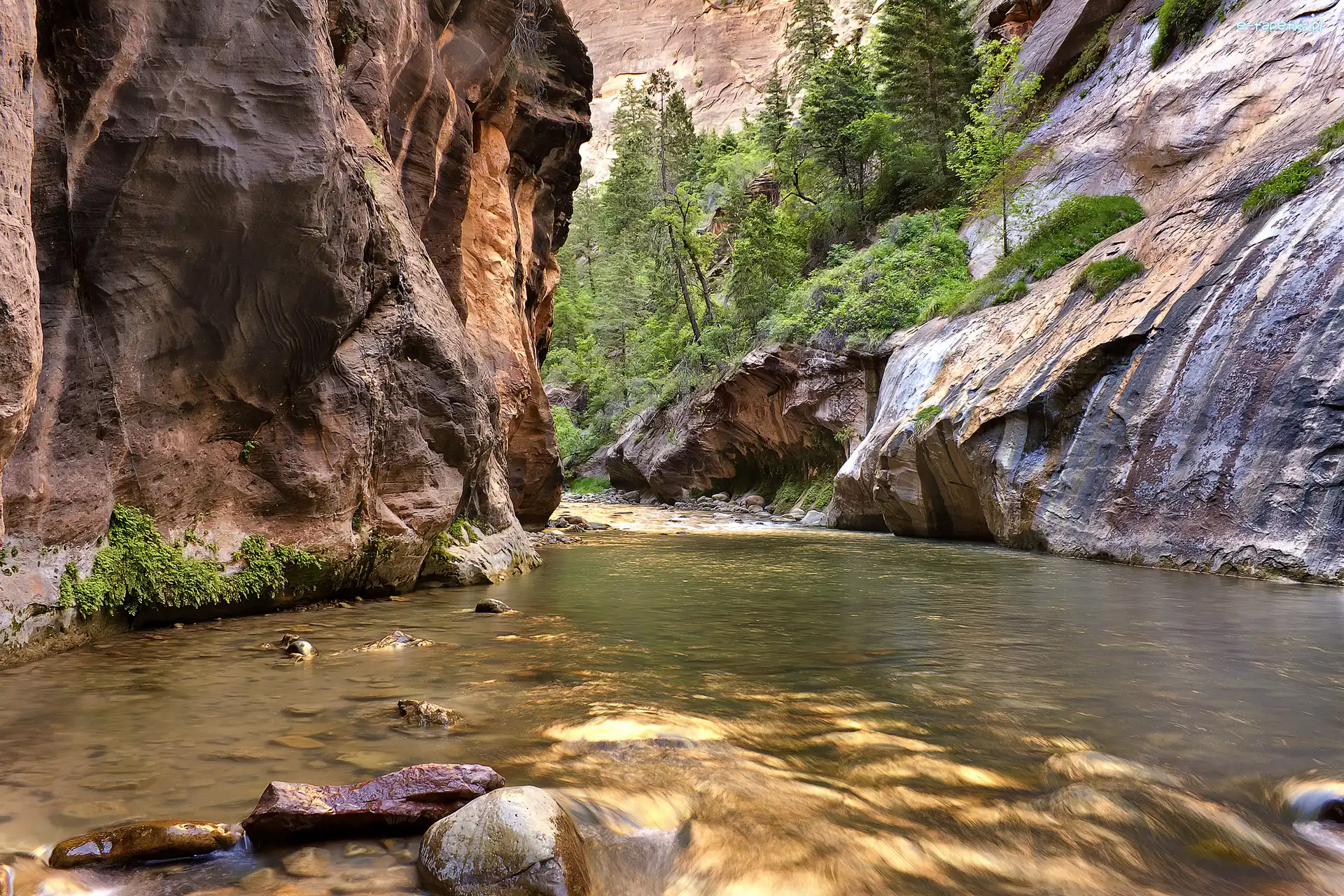 Stany Zjednoczone, Kanion Zion Narrows, Skały, Rzeka Virgin River, Park Narodowy Zion, Stan Utah, Roślinność