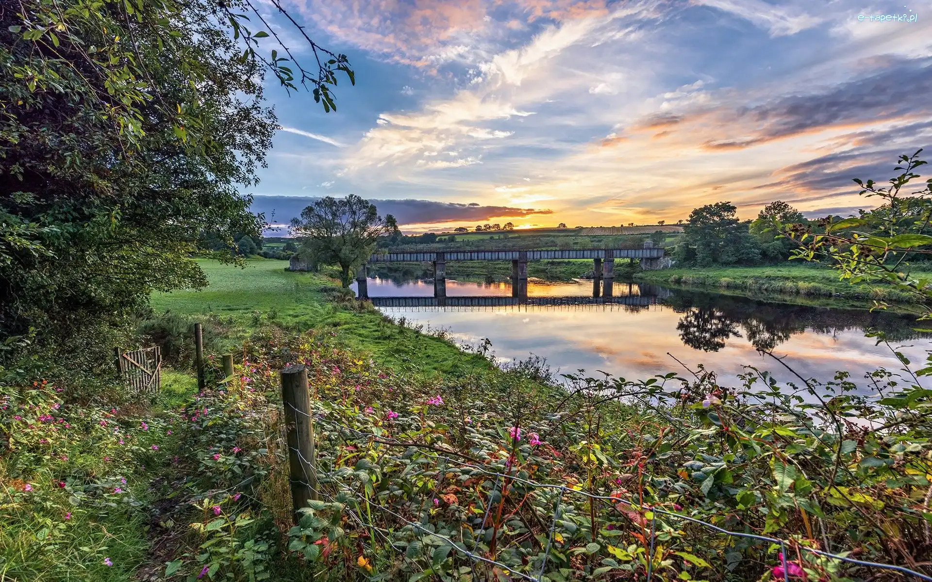 Roślinność, Most, Irlandia Północna, Strabane, Drzewa, Wschód słońca, Chmury, Rzeka Mourne River