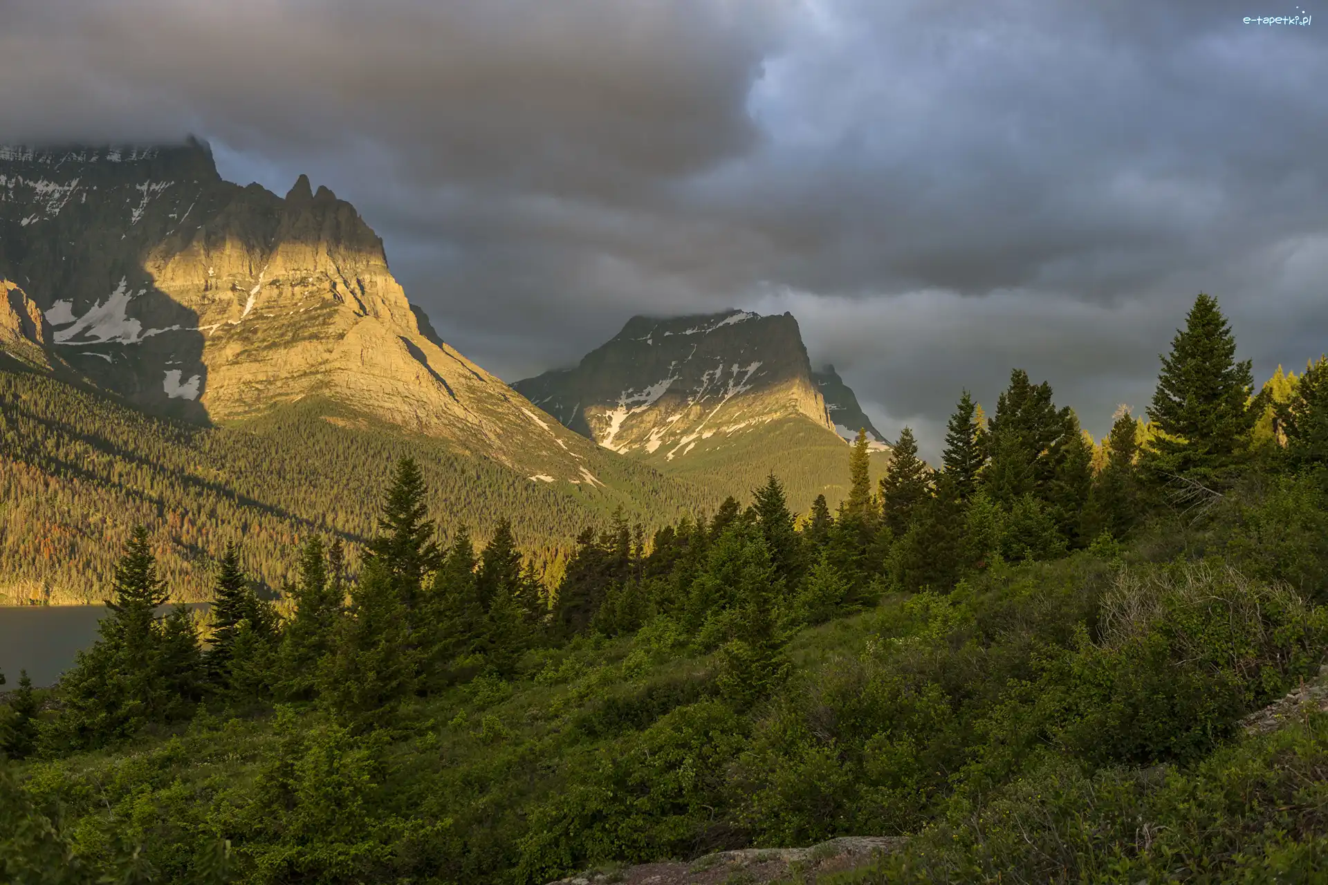 Drzewa, Góry Skaliste, Stany Zjednoczone, Stan Montana, Chmury, Las, Krzewy, Park Narodowy Glacier