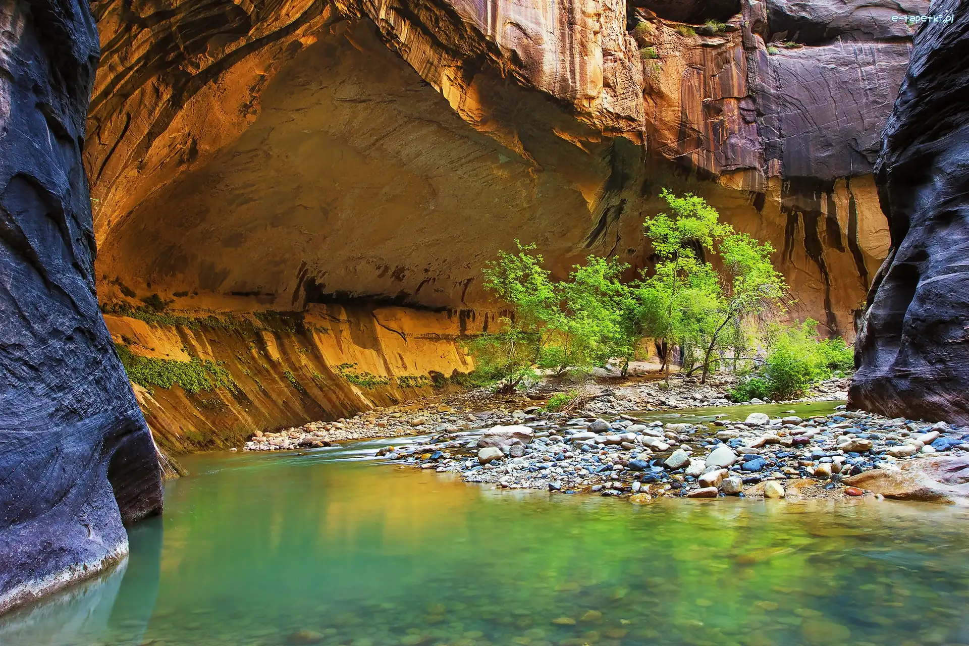 Skały, Rzeka Virgin River, Stany Zjednoczone, Stan Utah, Kanion Zion Narrows, Kamienie, Roślinność, Park Narodowy Zion