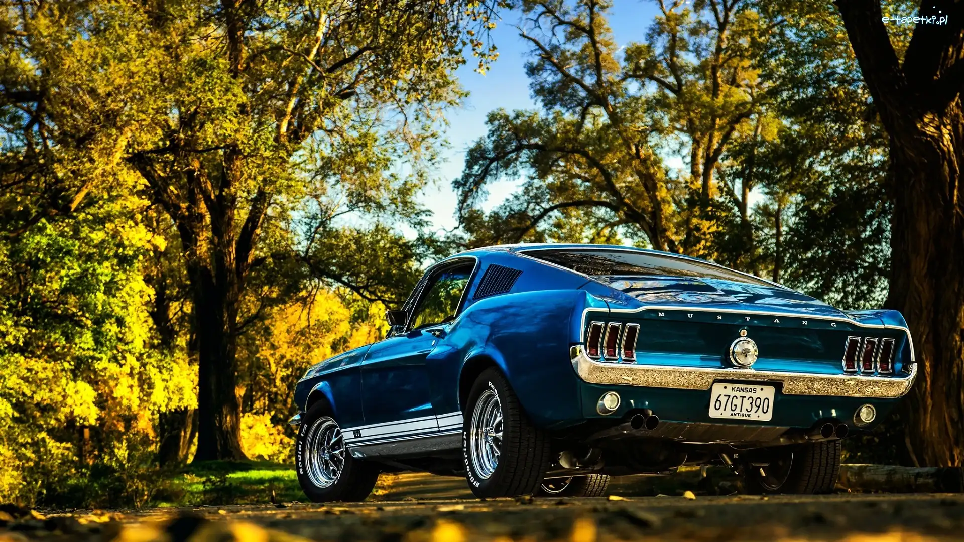 Ford Mustang Boss GT 390, Zabytkowy