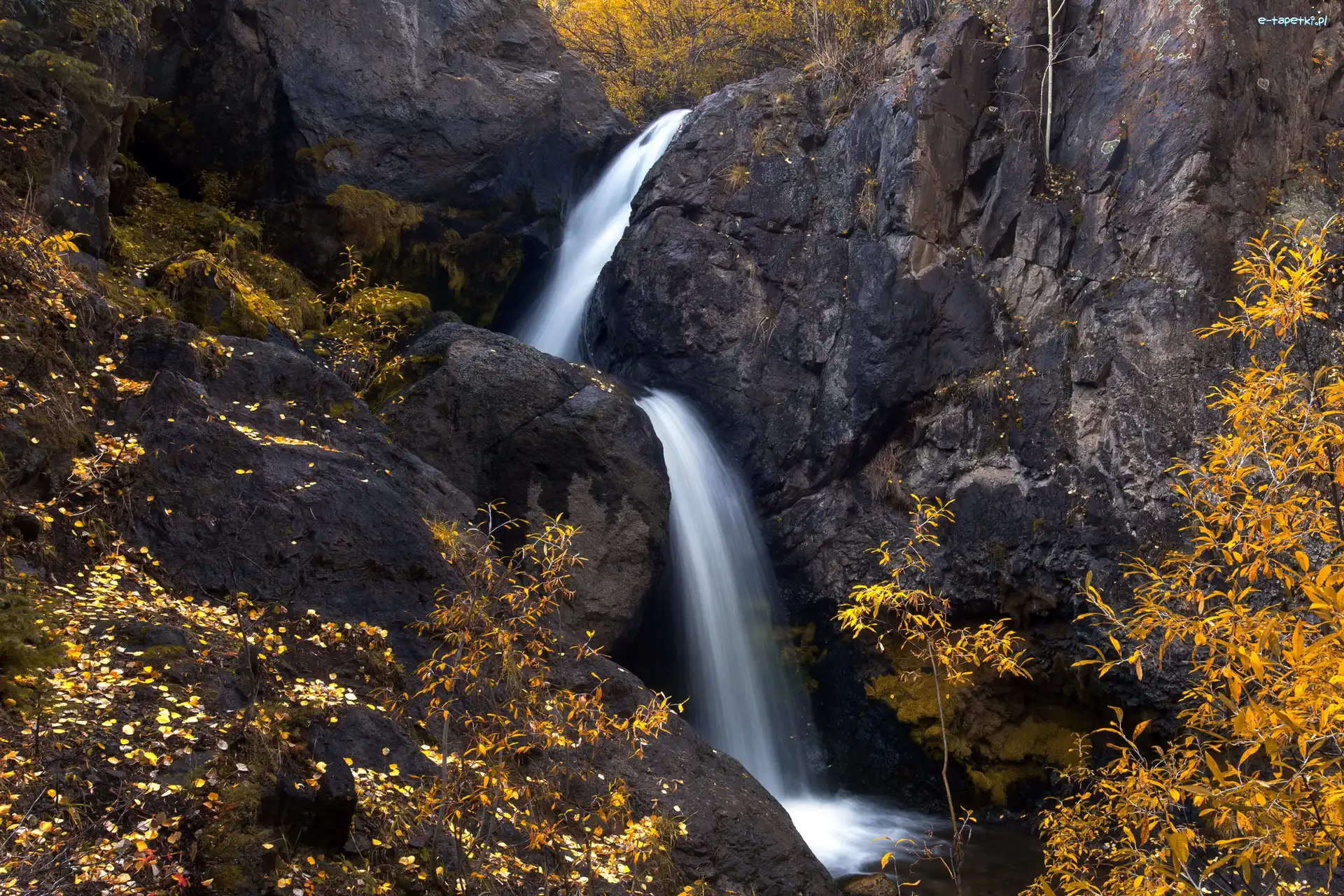 Skały, Drzewa, Wodospad Nellie Creek, Stany Zjednoczone, Kolorado