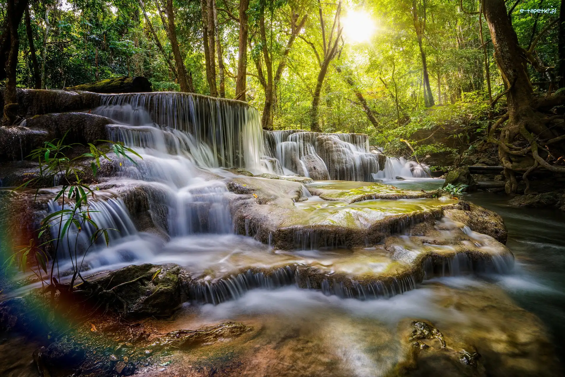 Tajlandia, Drzewa, Las, Skały, Wodospad kaskadowy, Prowincja Kanchanaburi, Park Huai Mae Khamin Waterfall