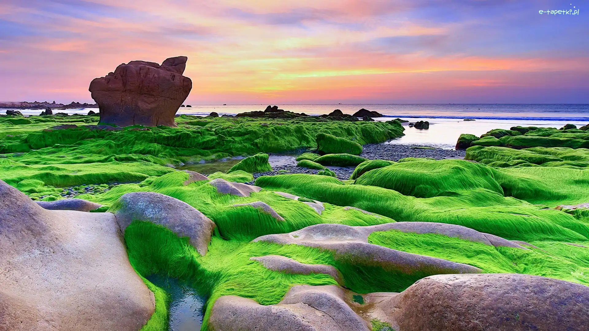 Wietnam, Wodorosty, Skały, Brzeg, Morze, Prowincja Da Nang, Plaża Nam O Beach