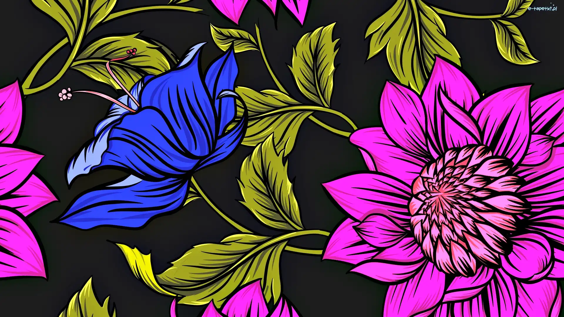 Niebieski, Fioletowe, Kwiat, Grafika, Kwiaty