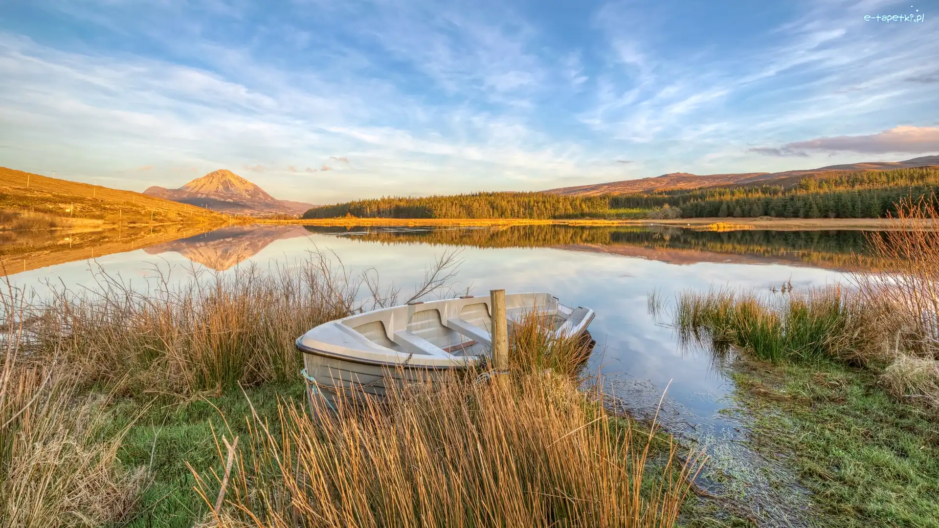 Irlandia, Jezioro Dunlewey, Łódka, Szczyt Errigal, Góry, Gweedore, Trawy