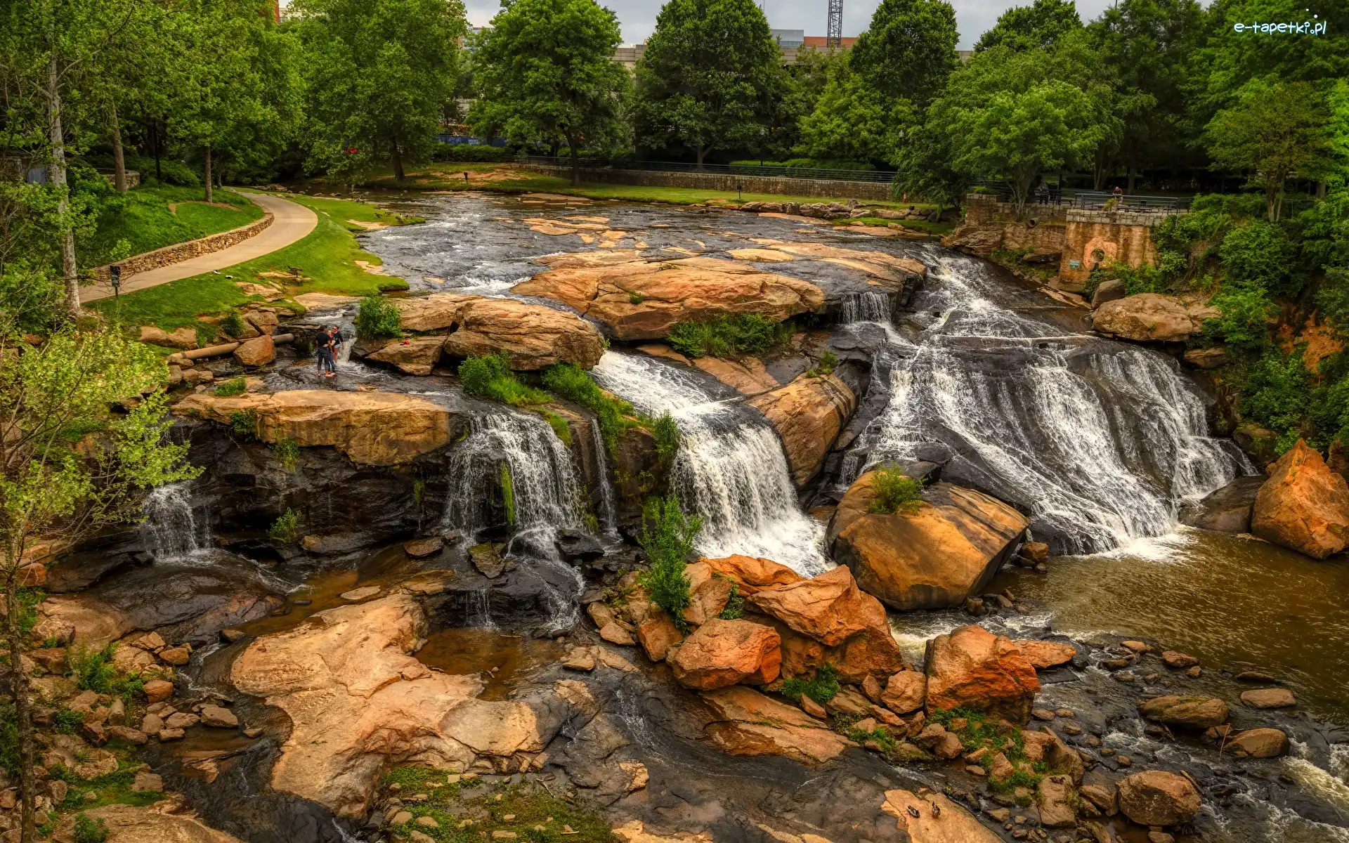 Drzewa, Skały, Stany Zjednoczone, Karolina Południowa, Kamienie, Roślinność, Greenville, Rzeka Reedy