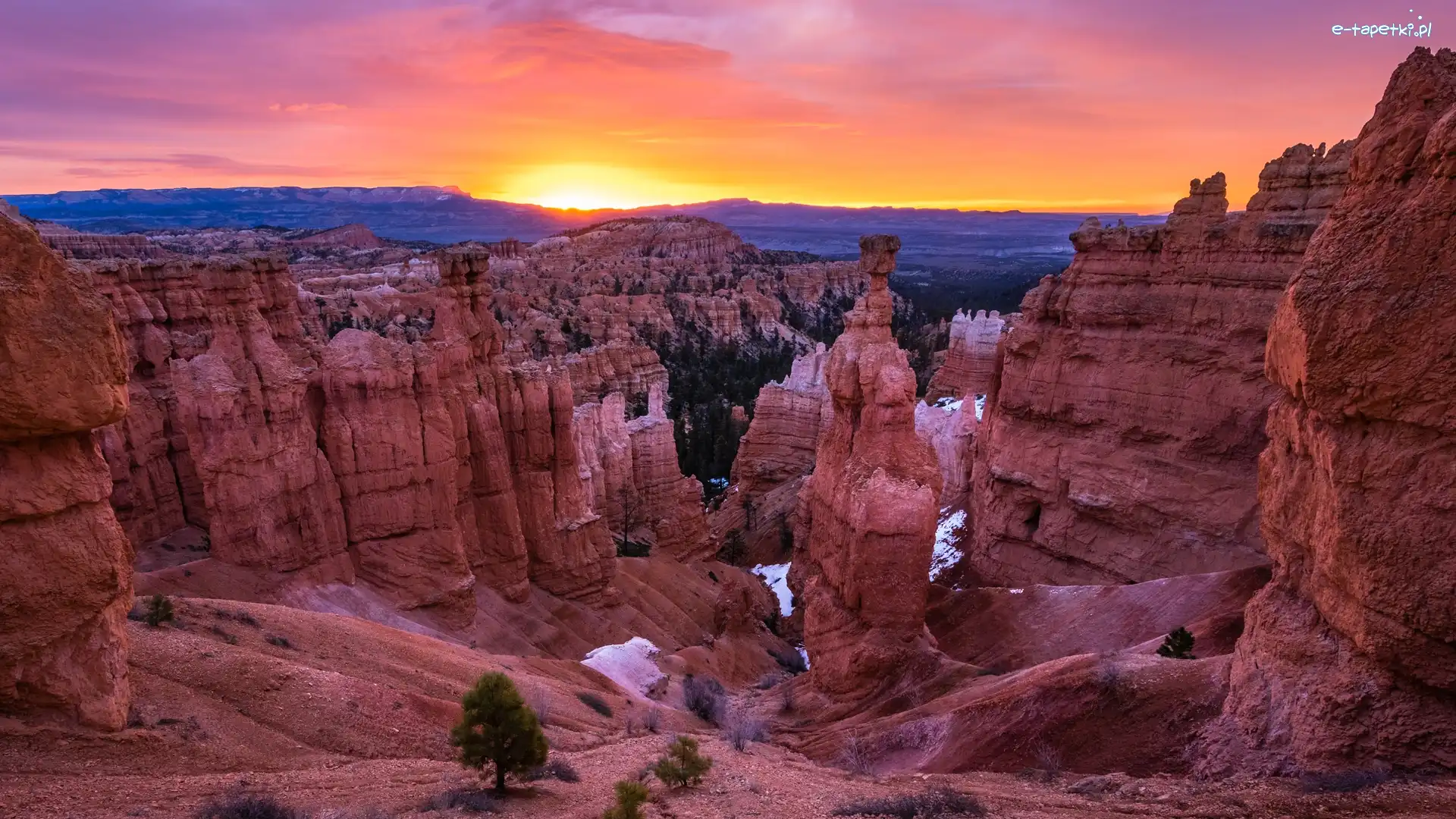 Roślinność, Park Narodowy Bryce Canyon, Skały, Wschód słońca, Stan Utah, Stany Zjednoczone