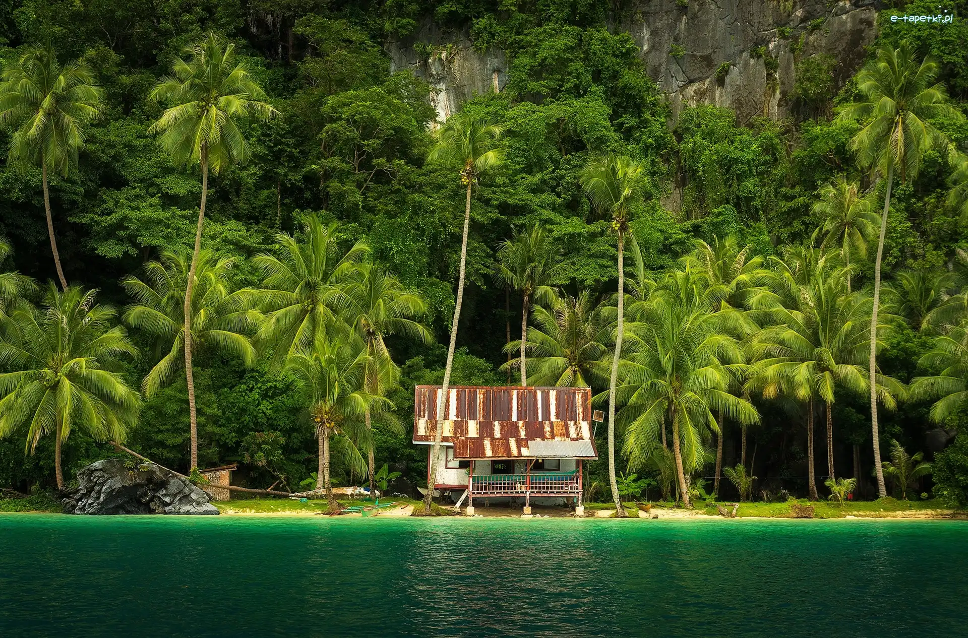 Chata, Skały, Filipiny, Wyspa Palawan, Palmy, Brzeg, El Nido, Morze