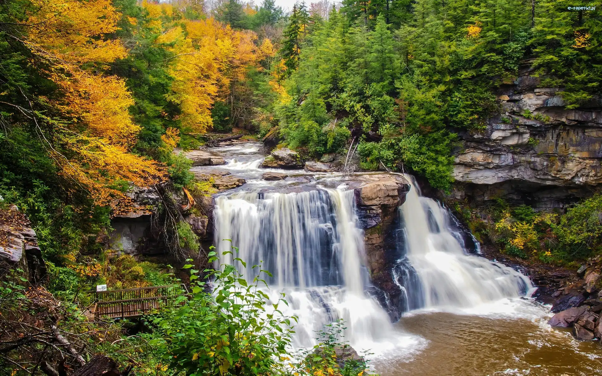 Jesień, Las, Skały, Rzeka Blackwater, Wodospad Blackwater Falls, Stany Zjednoczone, Stan Wirginia Zachodnia, Drzewa, Park stanowy Blackwater