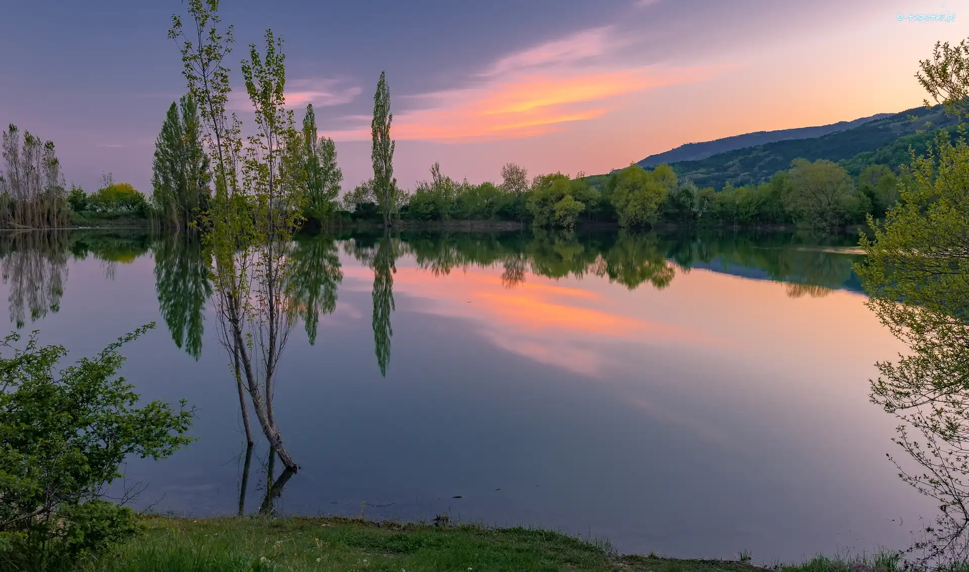 Krzewy, Wzgórza, Drzewa, Jezioro