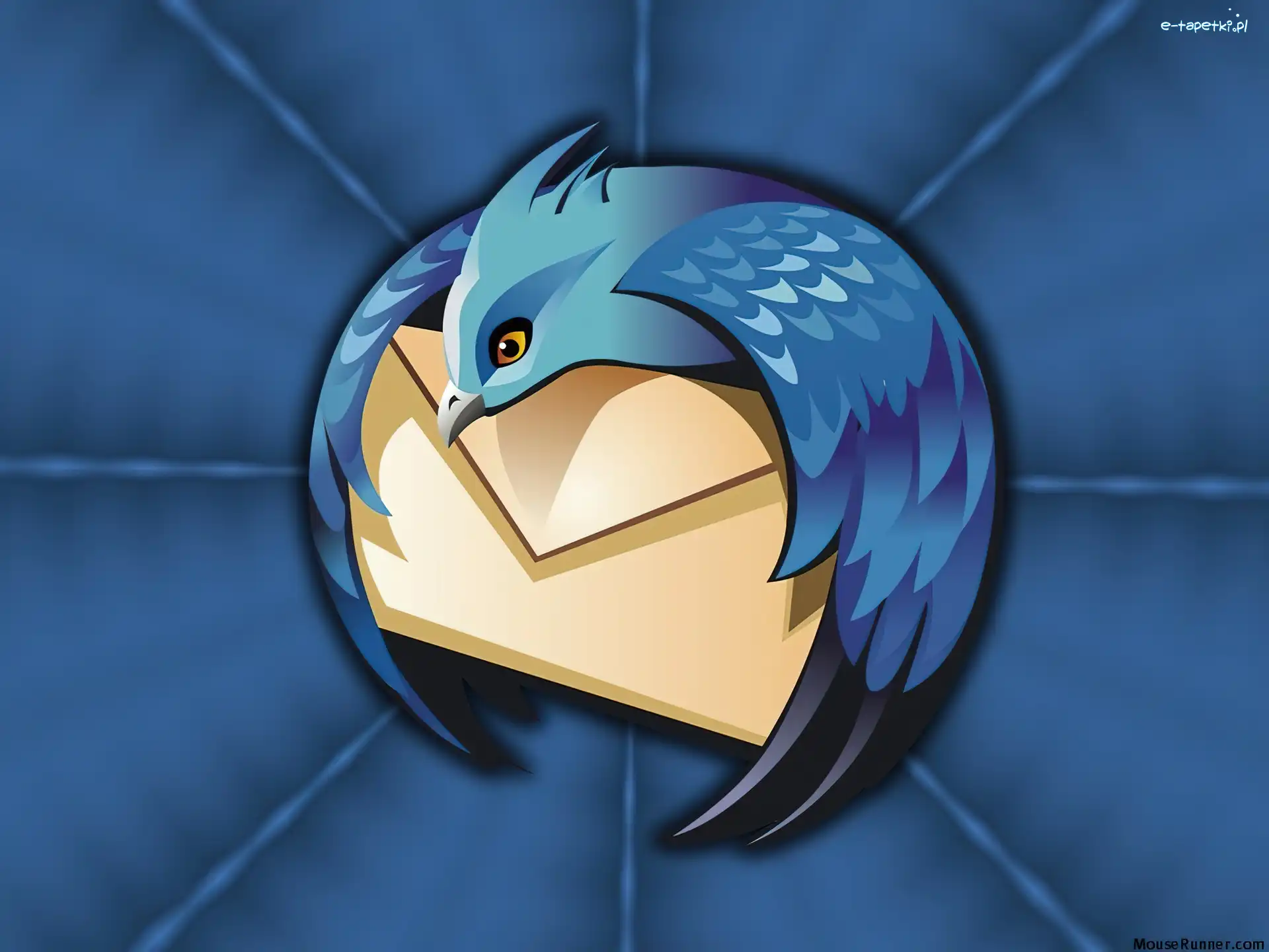 koperta, ptak, Thunderbird