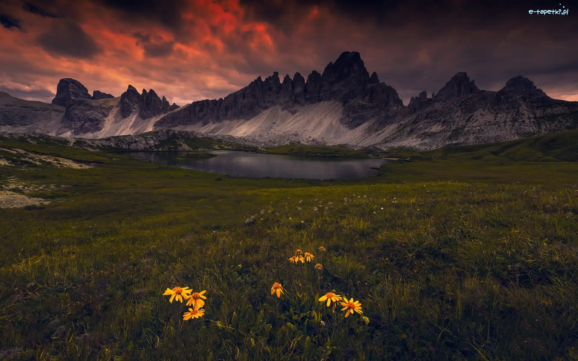 Żółte, Łąka, Szczyt Monte Paterno, Dolomity, Góry, Włochy, Zachód słońca, Jezioro, Kwiaty