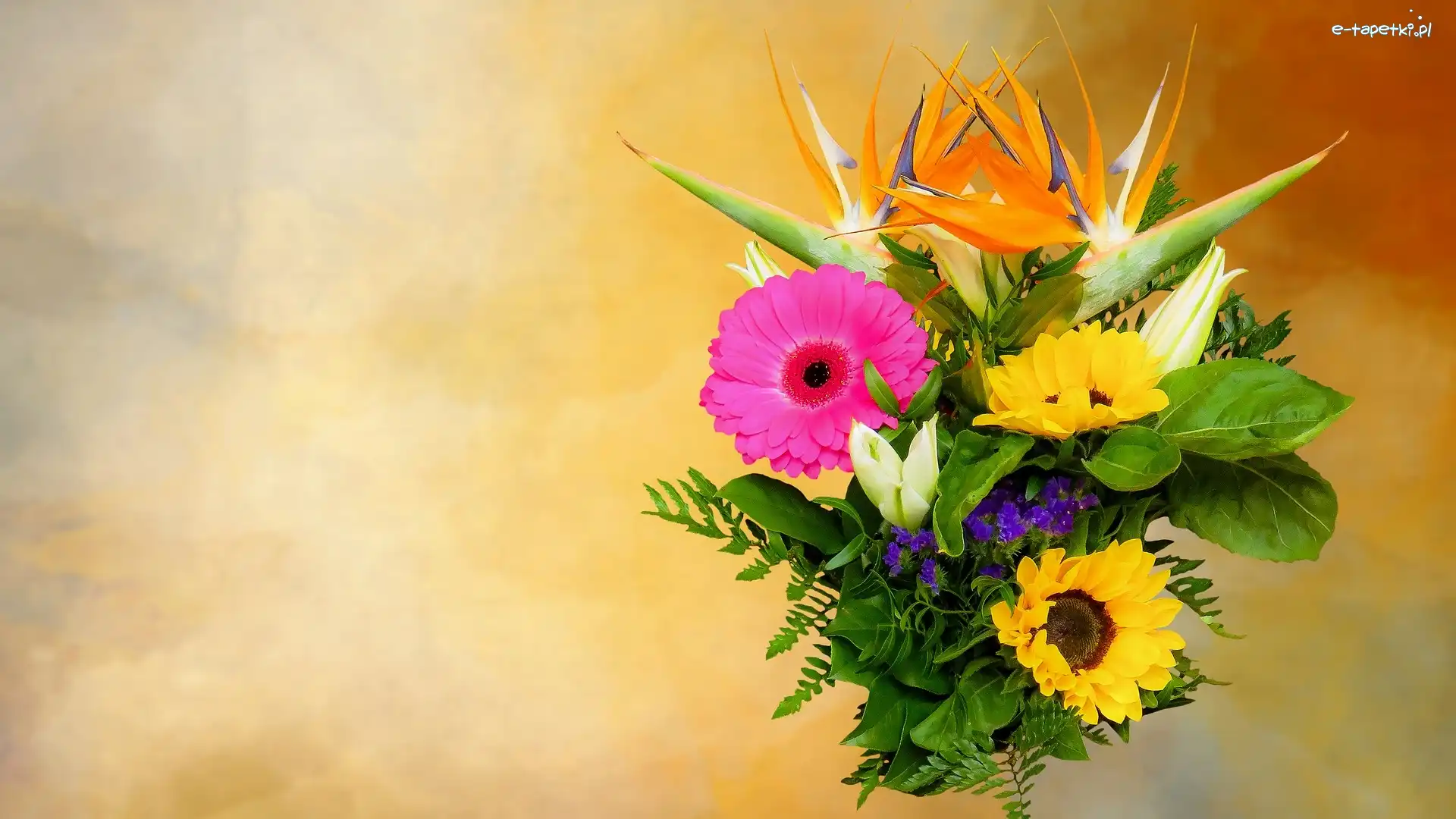 Tło, Gerbera, Słoneczniki ozdobne, Bukiet, Kwiaty, Żółte, Strelicje