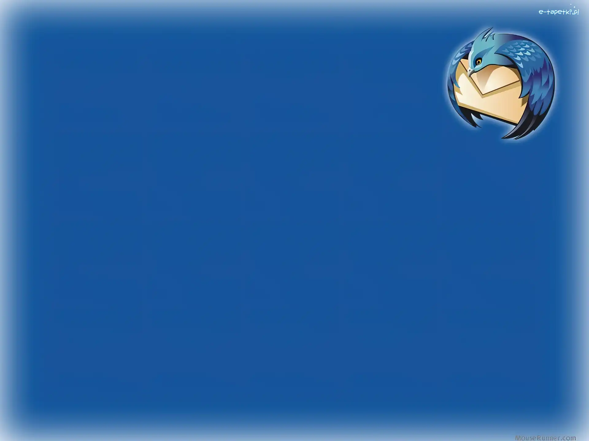 koperta, ptak, grafika, Thunderbird